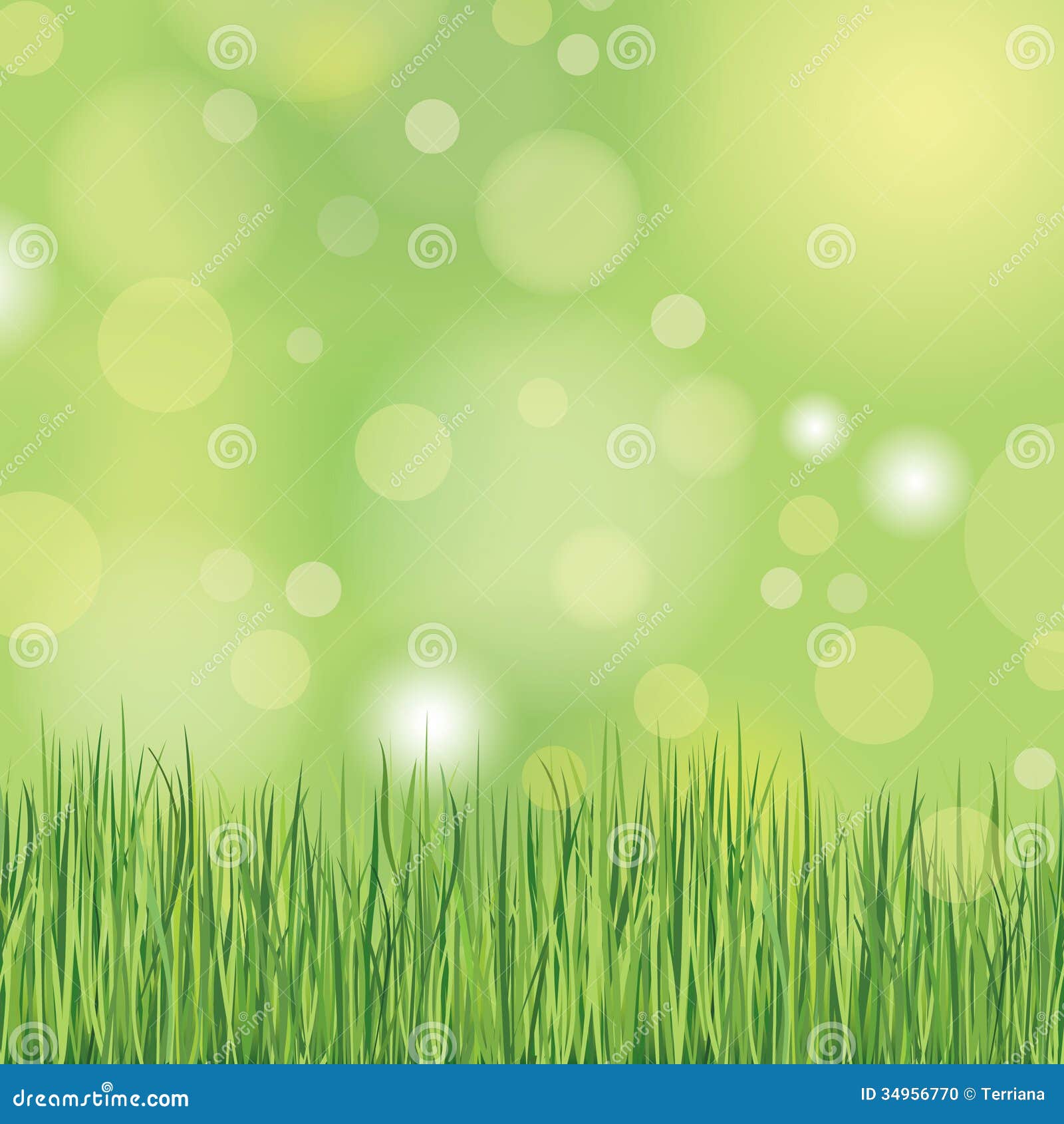 Floral Background. Summer Wallpaper. Stock Illustration Illustration
