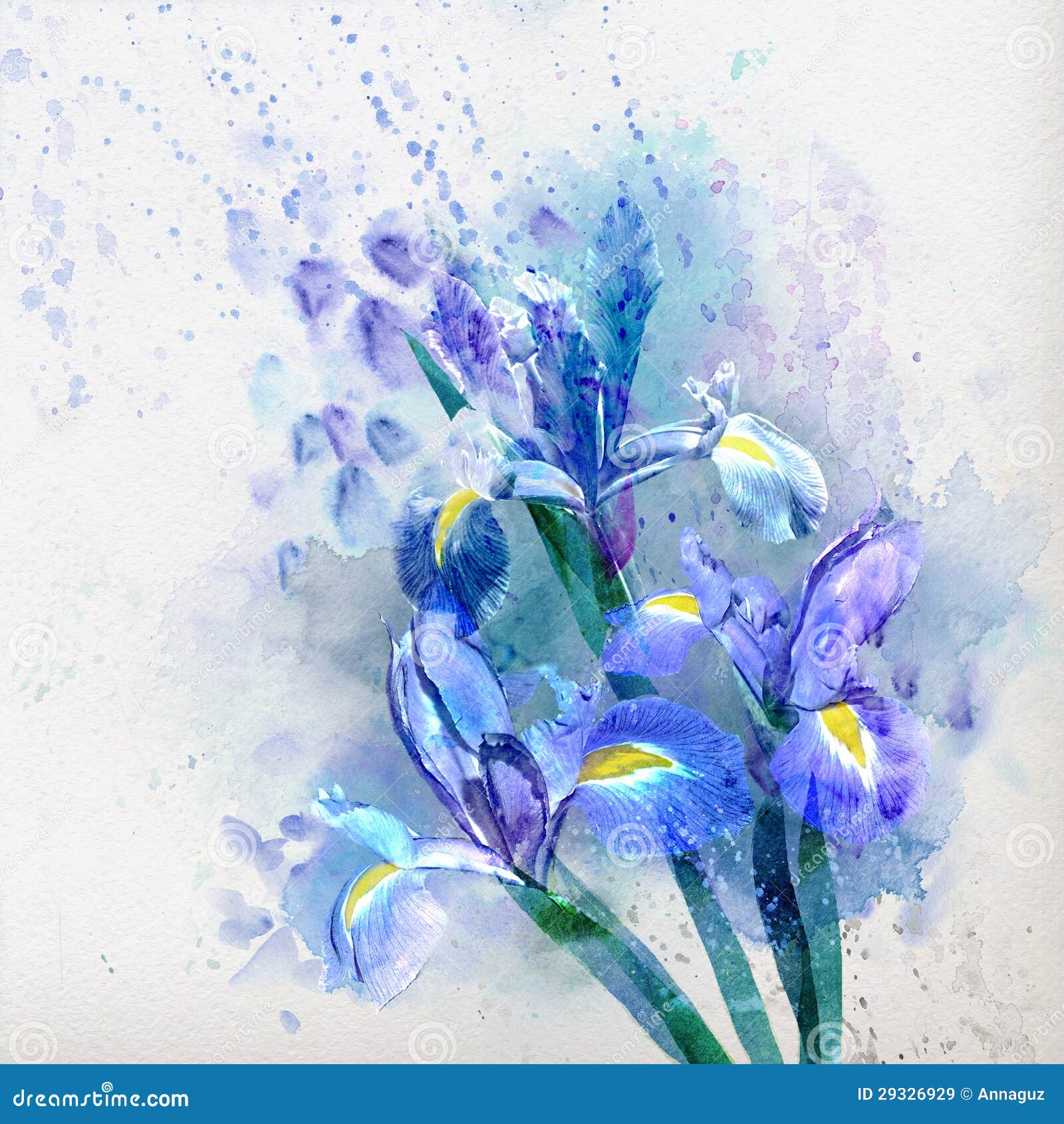 Watercolor Iris Stock Illustrations – 20,20 Watercolor Iris Stock ...