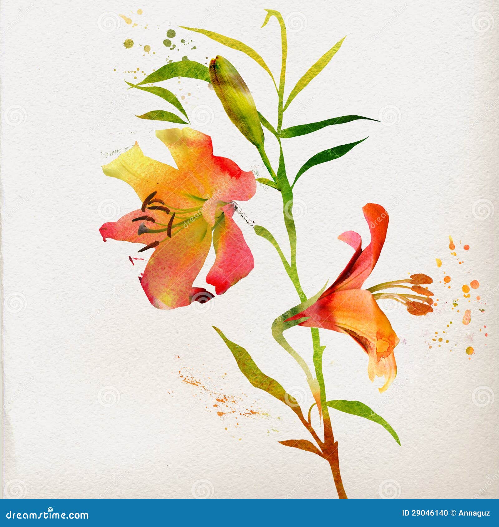 floral background watercolor lily 29046140