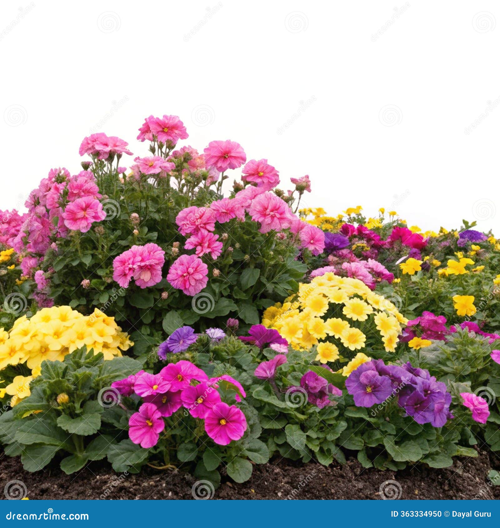 floral bed  on white background