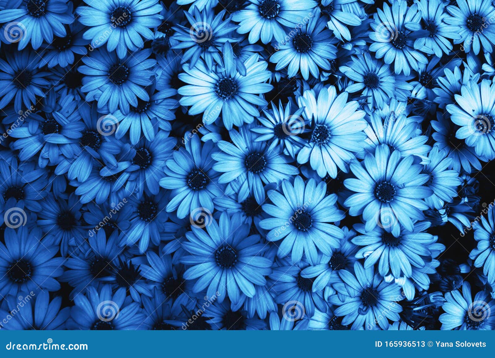 Floral Blue Pattern Background. Abstract Backdrop Colored. Stock Image -  Image of fresh, branch: 165936513