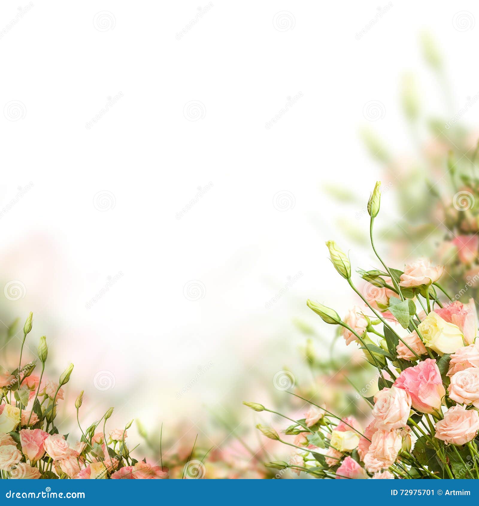 Floral Border. Flowers on Background Stock Image Image of gift, blur