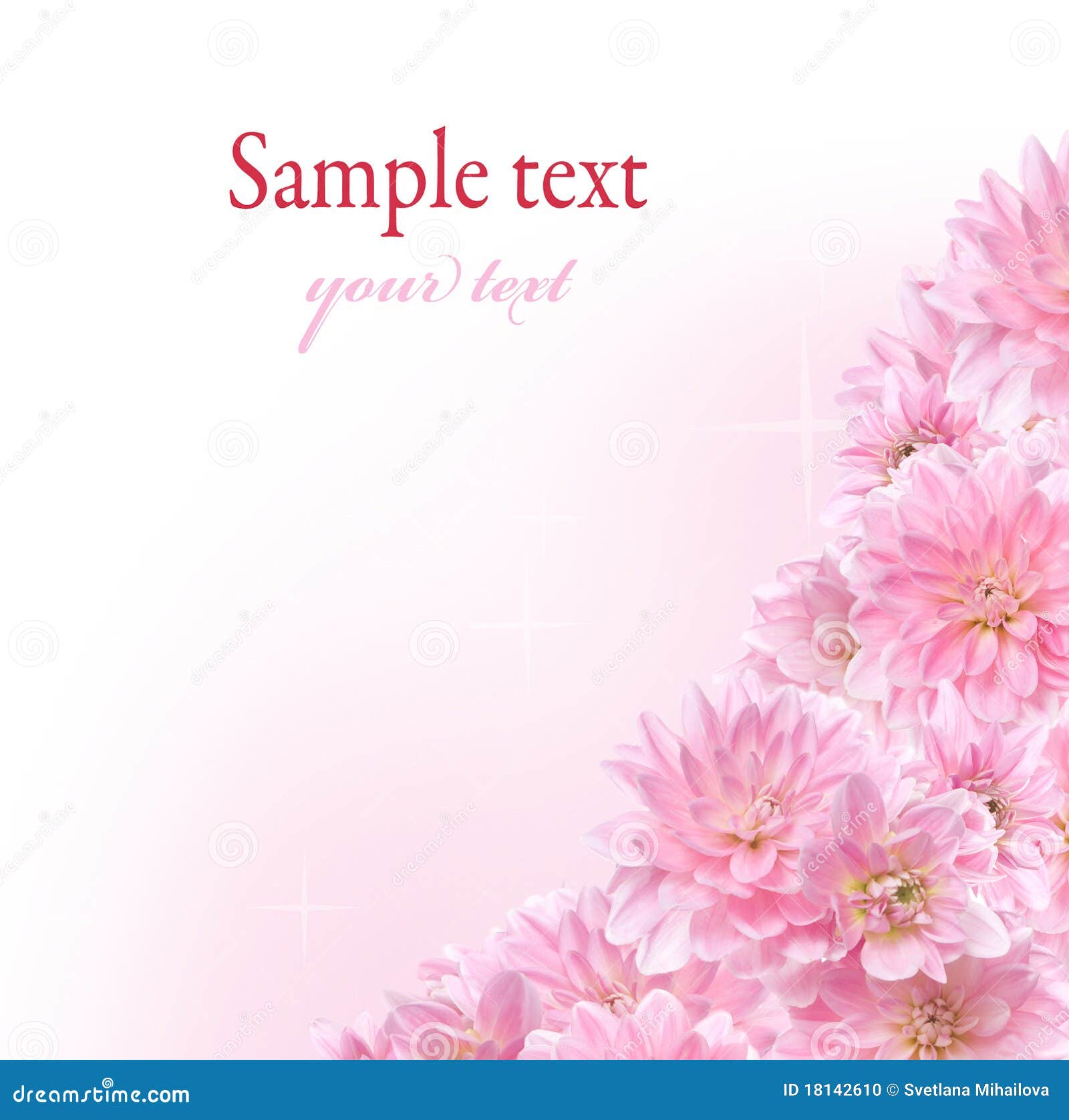Floral Border With Pink Dahlia Stock Photo Image 18142610