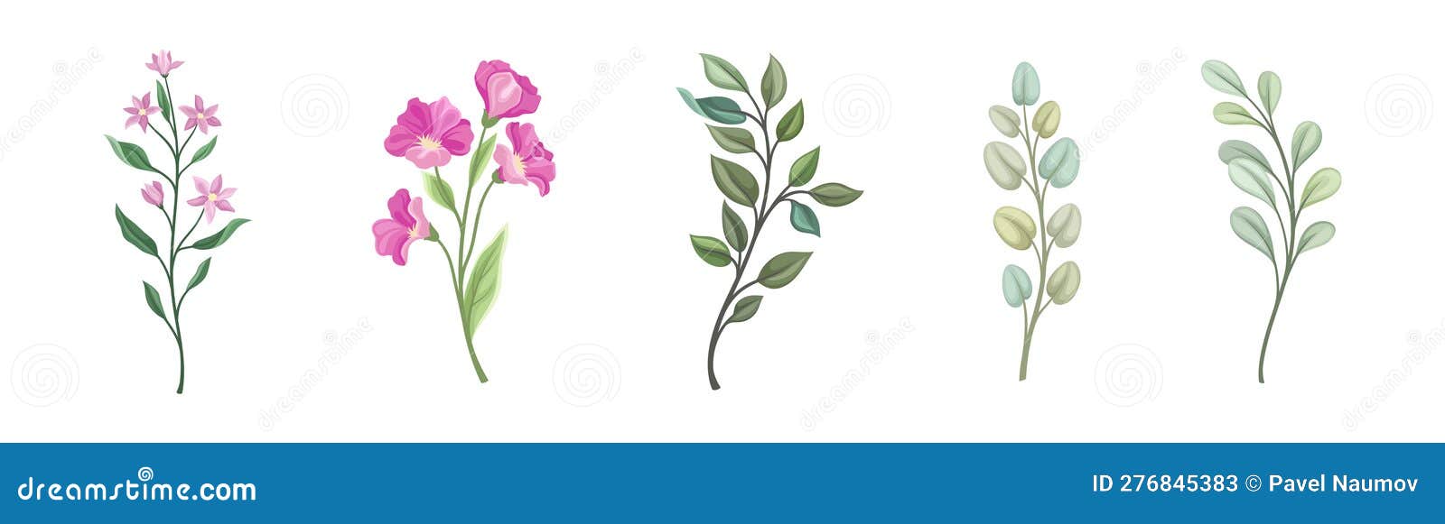 Floral Branches and Twigs with Leafy Stalk or Stem Vector Set Stock