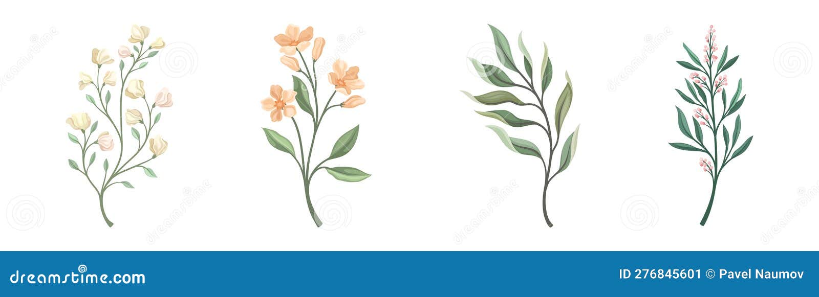 Floral Branches and Twigs with Leafy Stalk or Stem Vector Set Stock