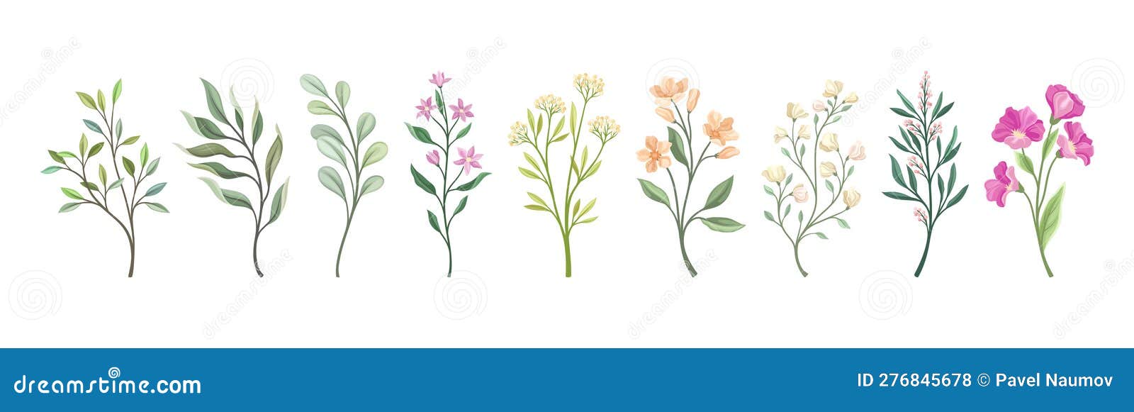 Floral Branches and Twigs with Leafy Stalk or Stem Vector Set Stock