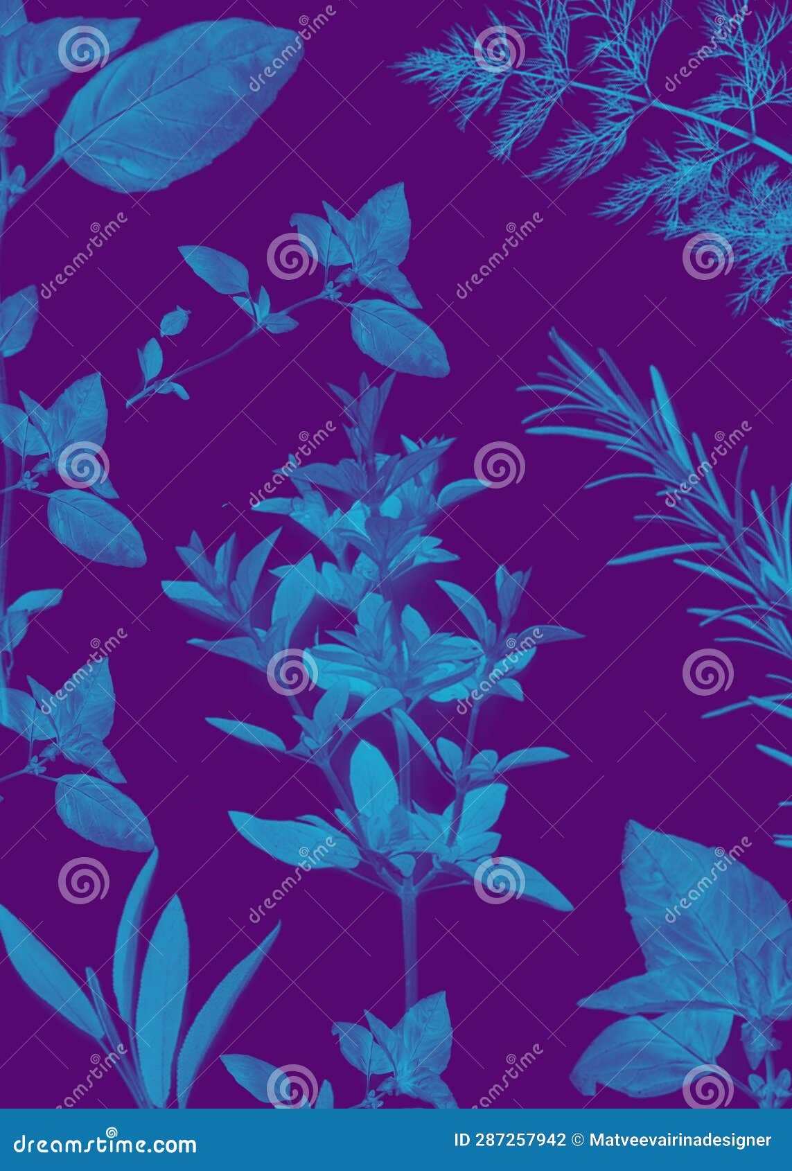 Floral Bright Pattern of Blue Flowers on a Purple Background Stock