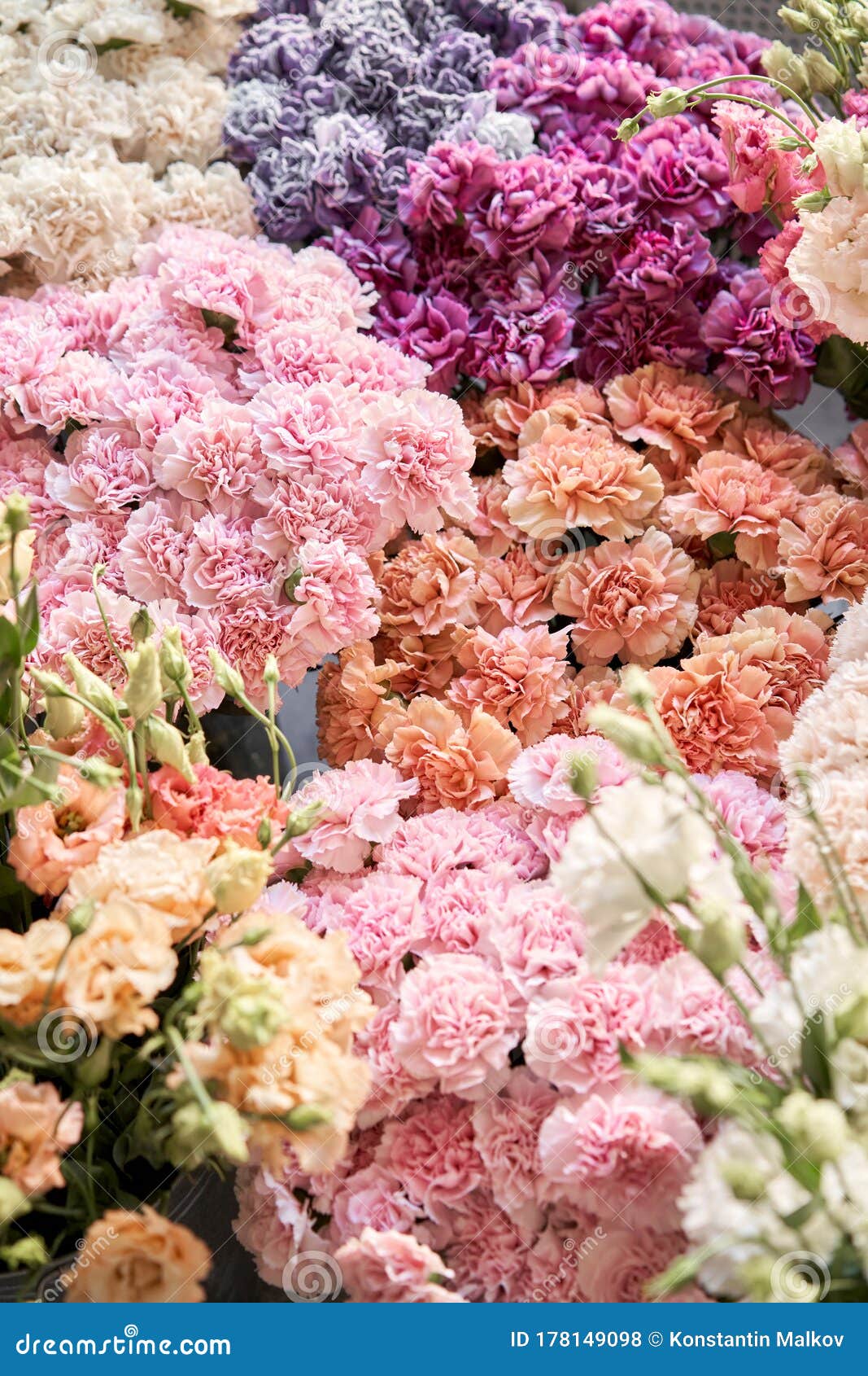 Floral Carpet or Wallpaper. Background of Mix of Flowers. Beautiful Flower  for Catalog or Online Store Stock Photo - Image of floral, carpet: 178149098
