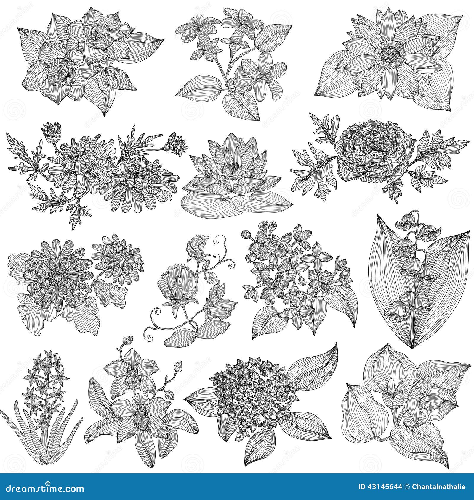 Black And White Flower png download - 1874*2400 - Free Transparent Drawing  png Download. - CleanPNG / KissPNG