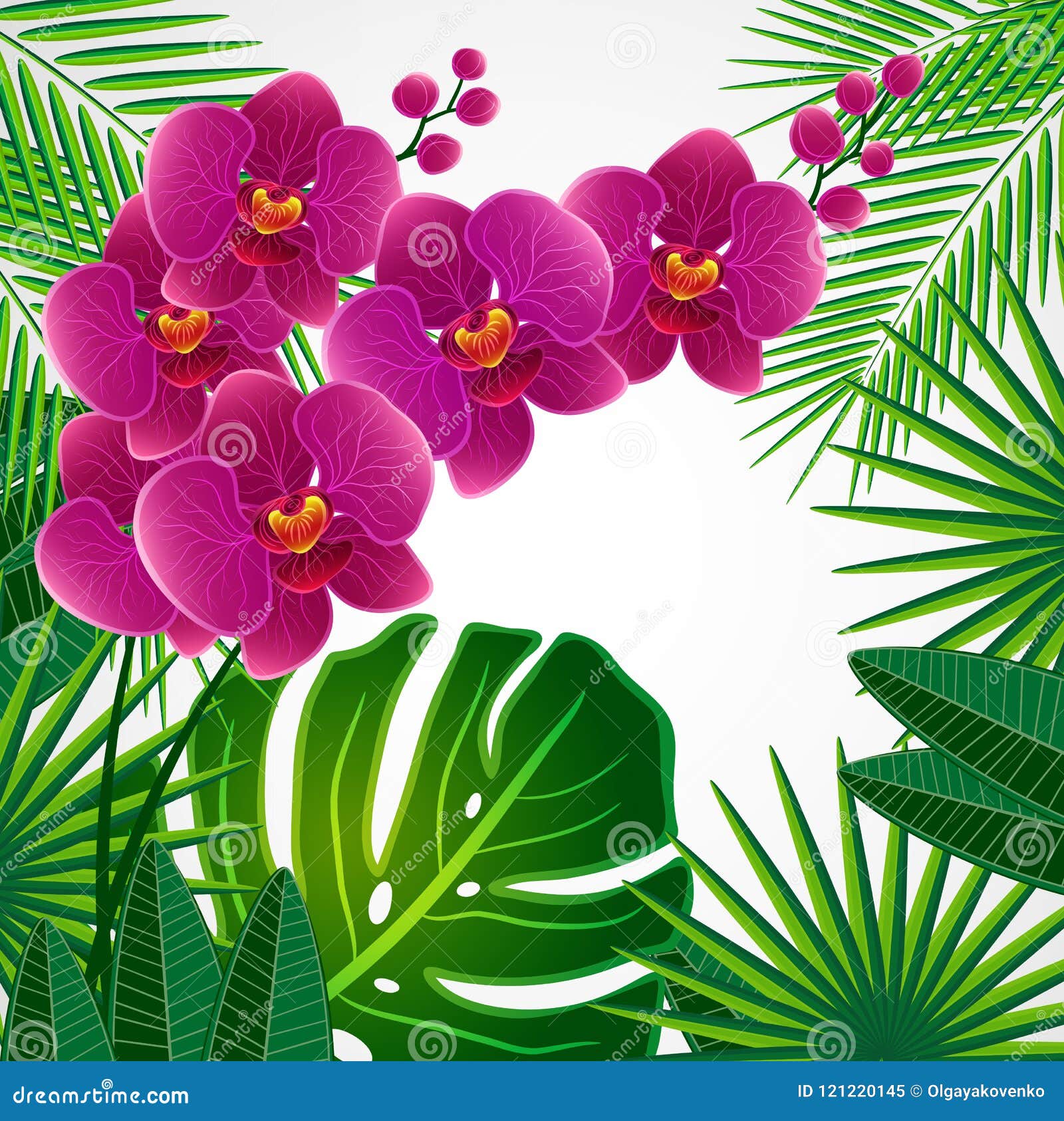 Floral Design Background. Orchid Flowers Stock Vector Illustration of