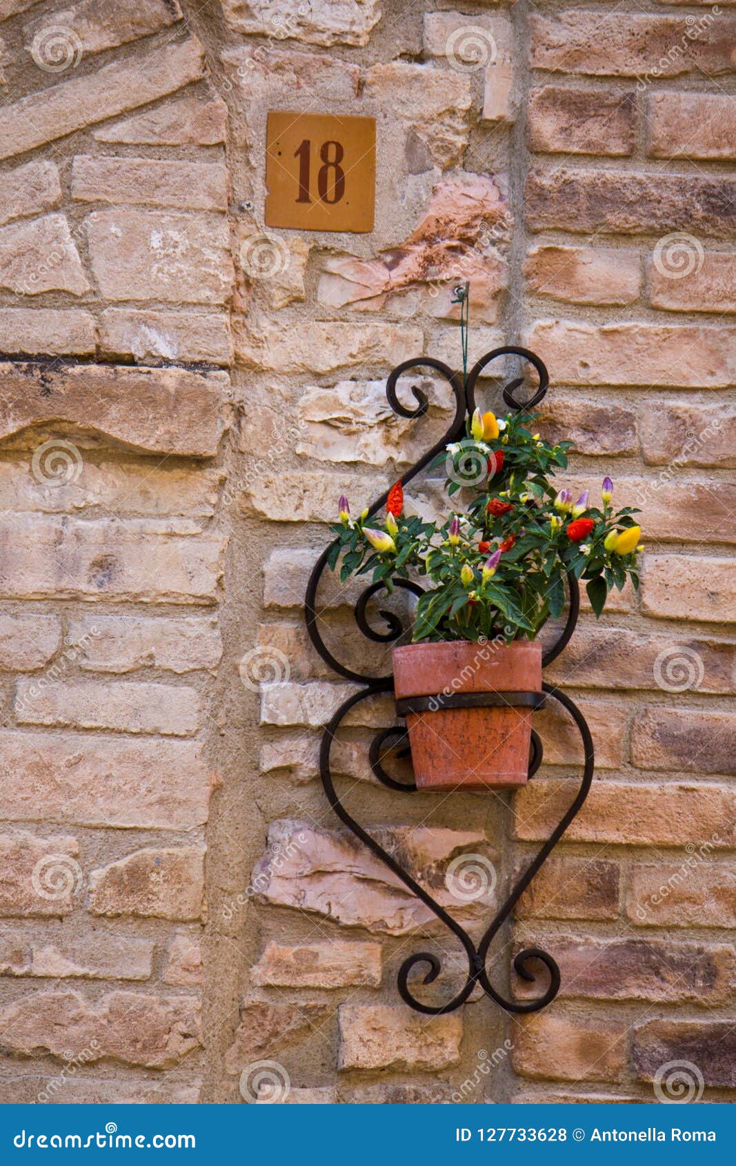 floral detail on the wall in assisi