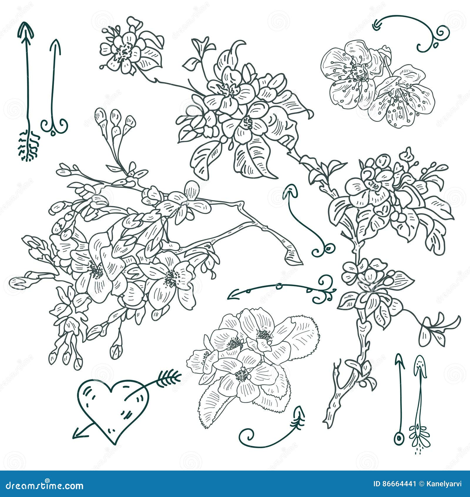 floral drawing,  .