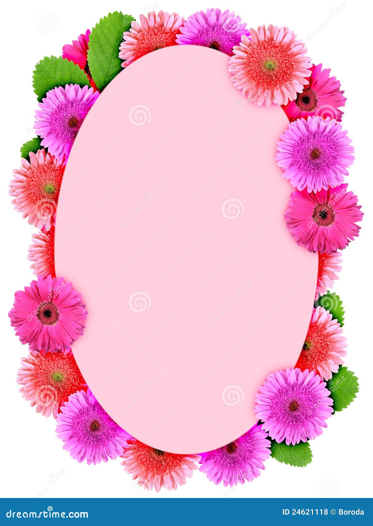 download photoshop elements themes Flowers Frame With Free Royalty Floral Ellipse Pink Stock