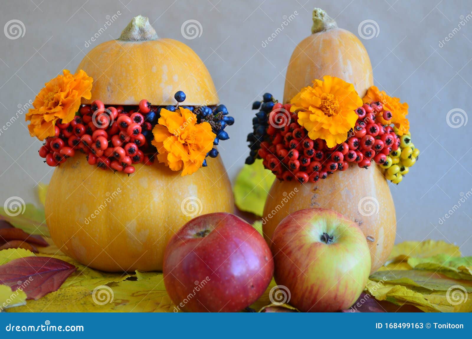 Bezem informeel Voorverkoop Floral En Decoratie Pompoenappels Herfst Heldere Bloem in Een Pompoen Stock  Afbeelding - Image of gebladerte, helder: 168499163