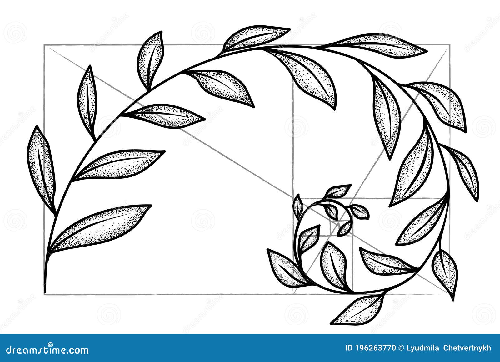 floral fibonacci spiral. sketch of  harmony concept, golden ratio.