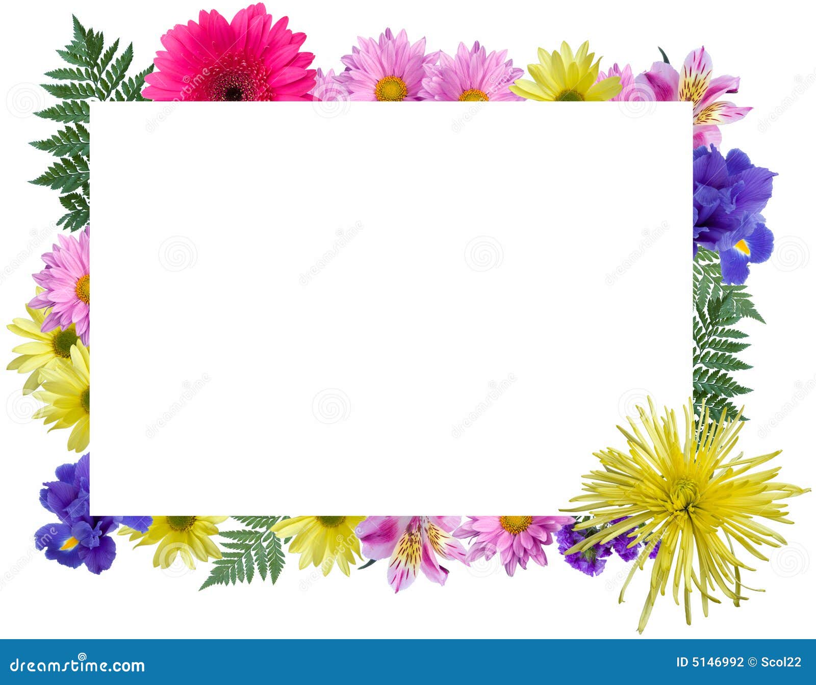 Floral Frame stock photo. Image of bouquet, rose, anniversary 5146992
