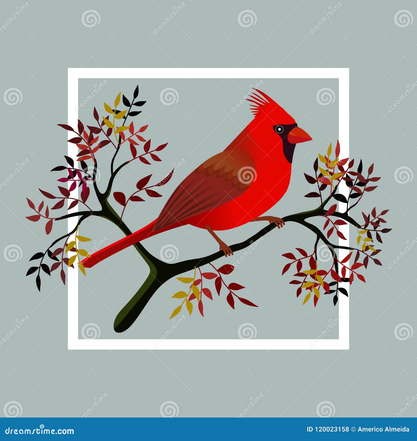 Cardinal Bird On A Branch Stock Vector Illustration Of Flowers