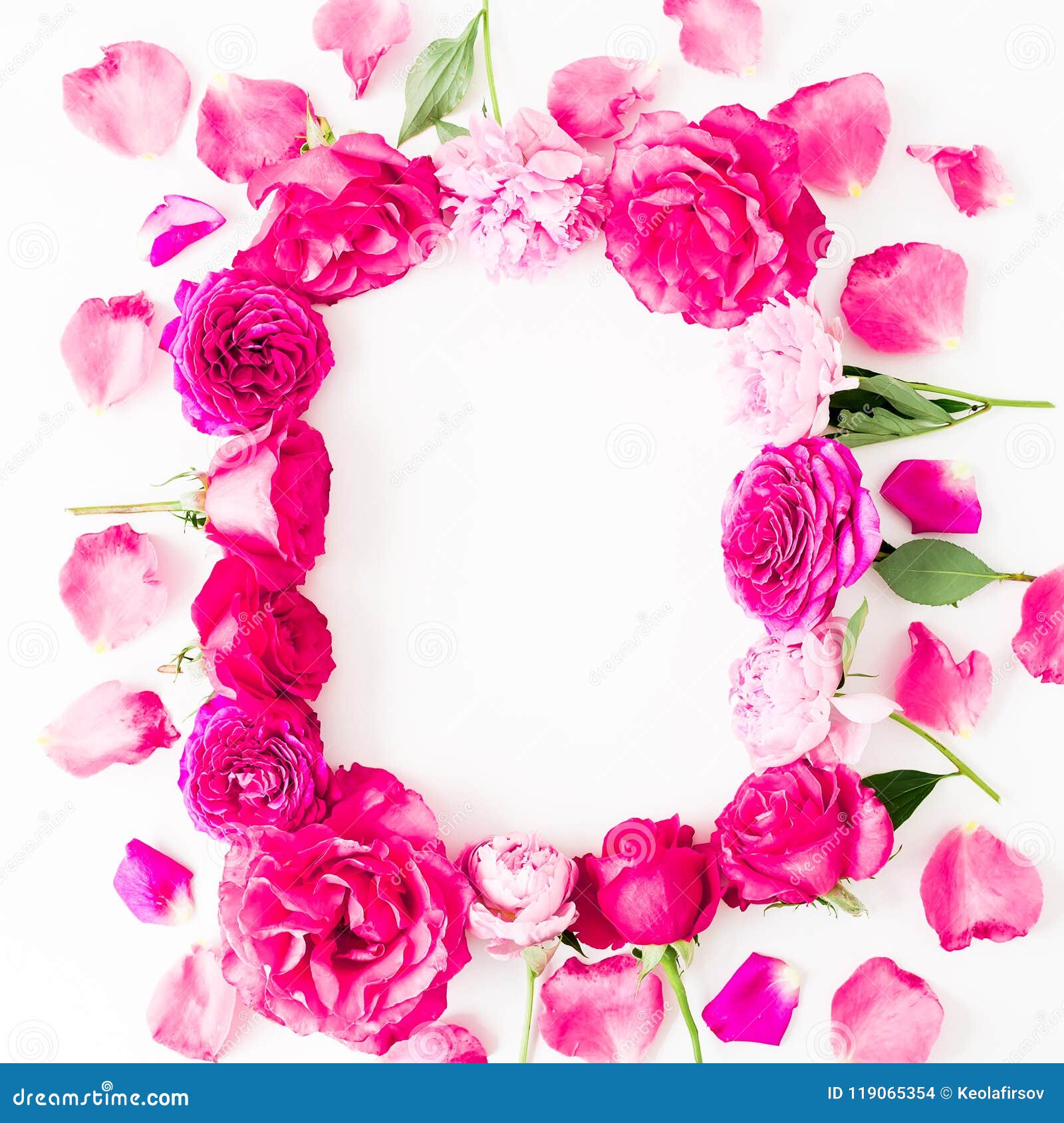 Fresh Pink Rose Petals on White, Top View Stock Photo - Image of natural,  scattered: 173065392