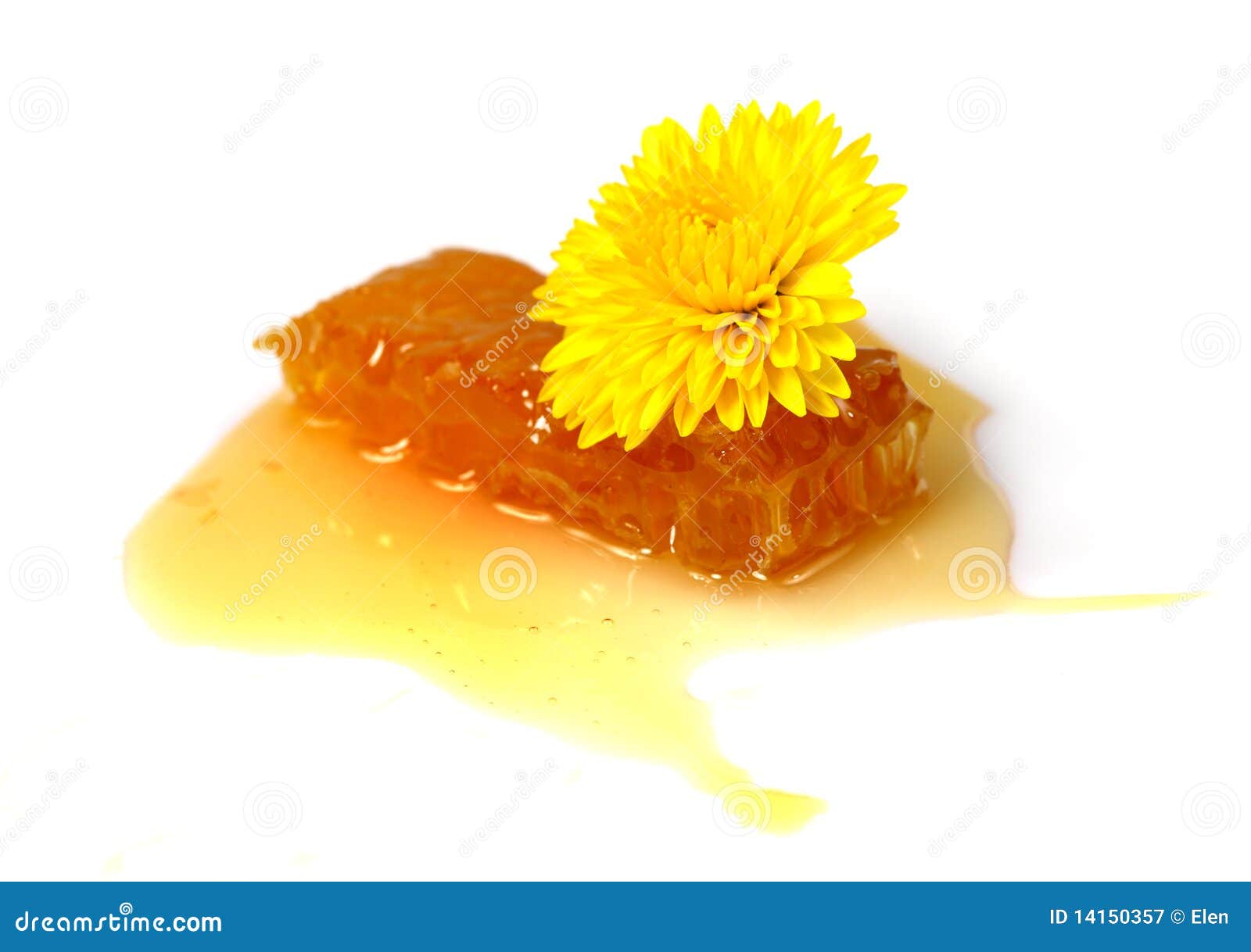 Floral Honey in in and Flowers Stock Image Image of healthy