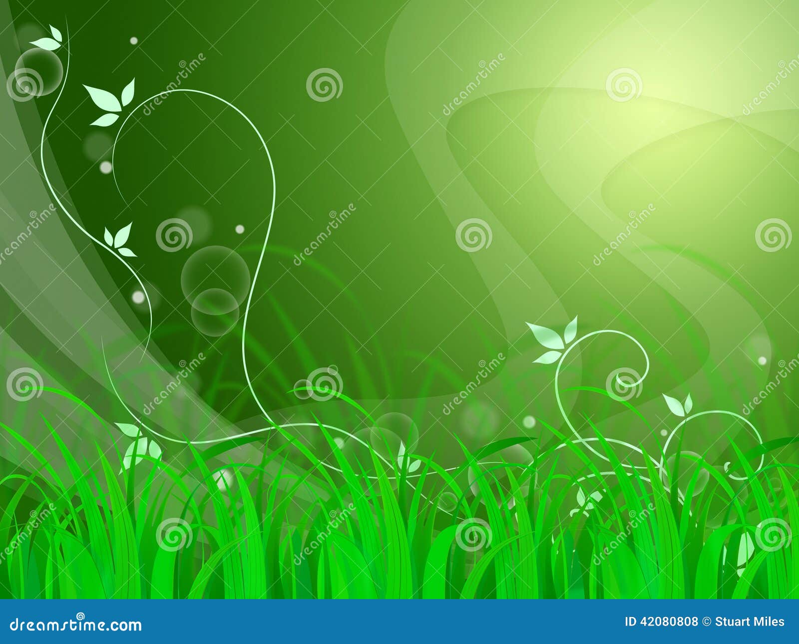 Floral Horizon Background Shows Natural Field or Fresh Environment ...