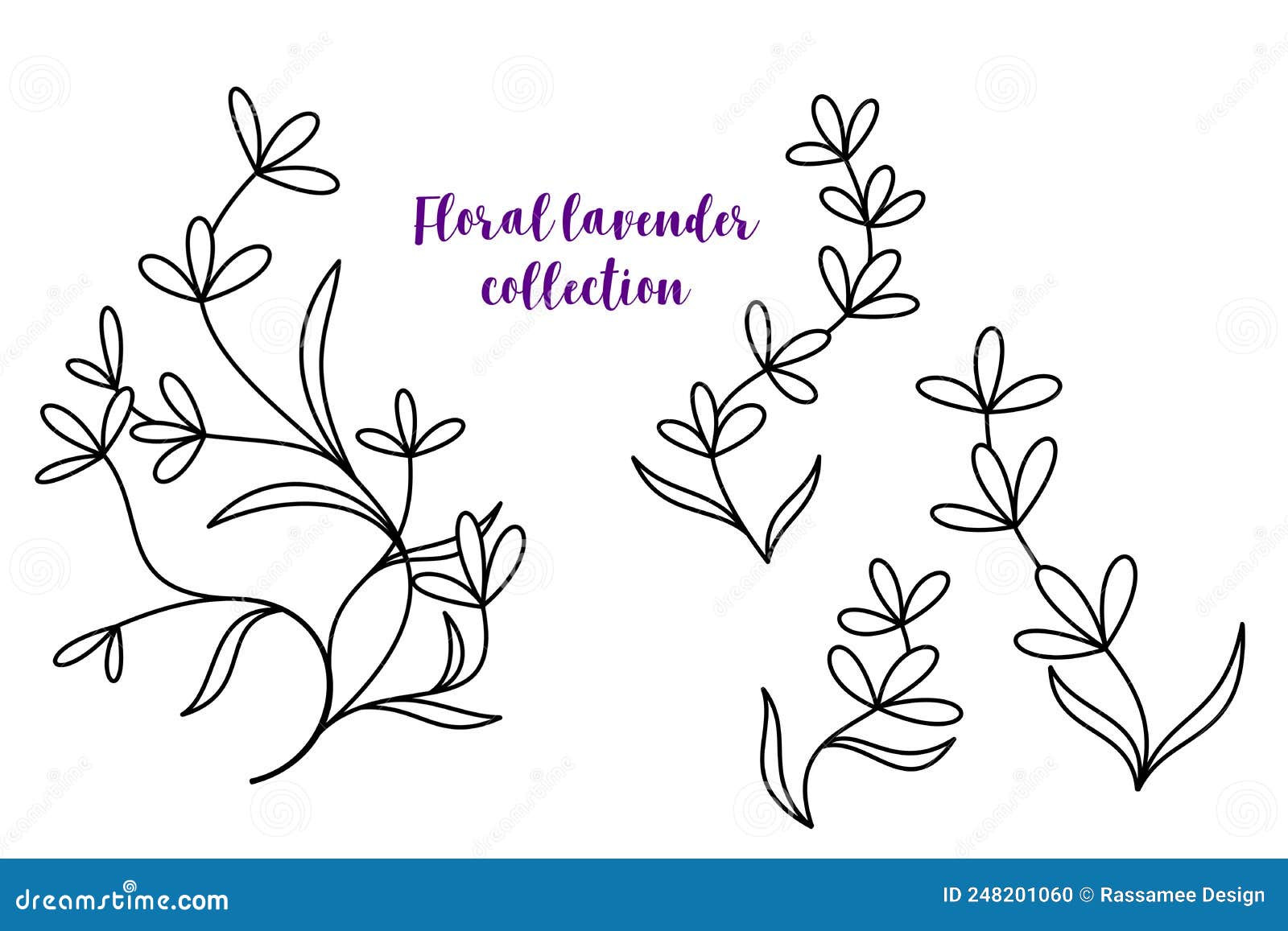 Floral Lavender Lineart on White Stock Illustration Illustration of