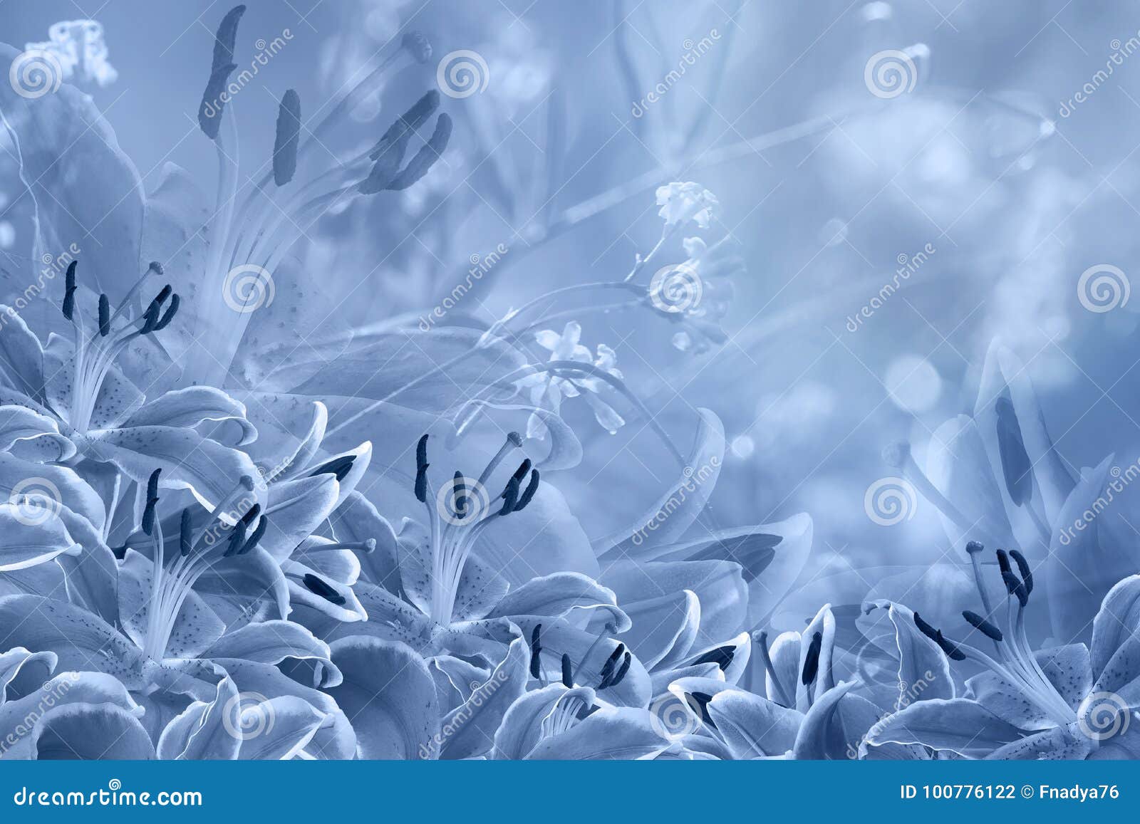 Floral Light Blue Beautiful Background Flower Composition Of Blue Flowers Lilies Stock Photo Image Of Lily Closeup 100776122,How To Paint Ikea Furniture Black