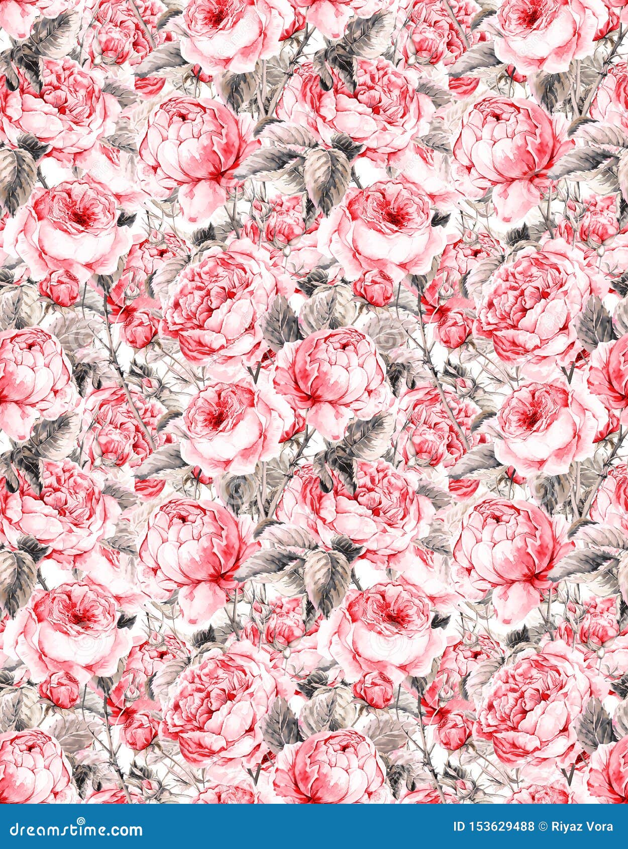 stylease stock illustrations 21 stylease stock illustrations vectors clipart dreamstime dreamstime com