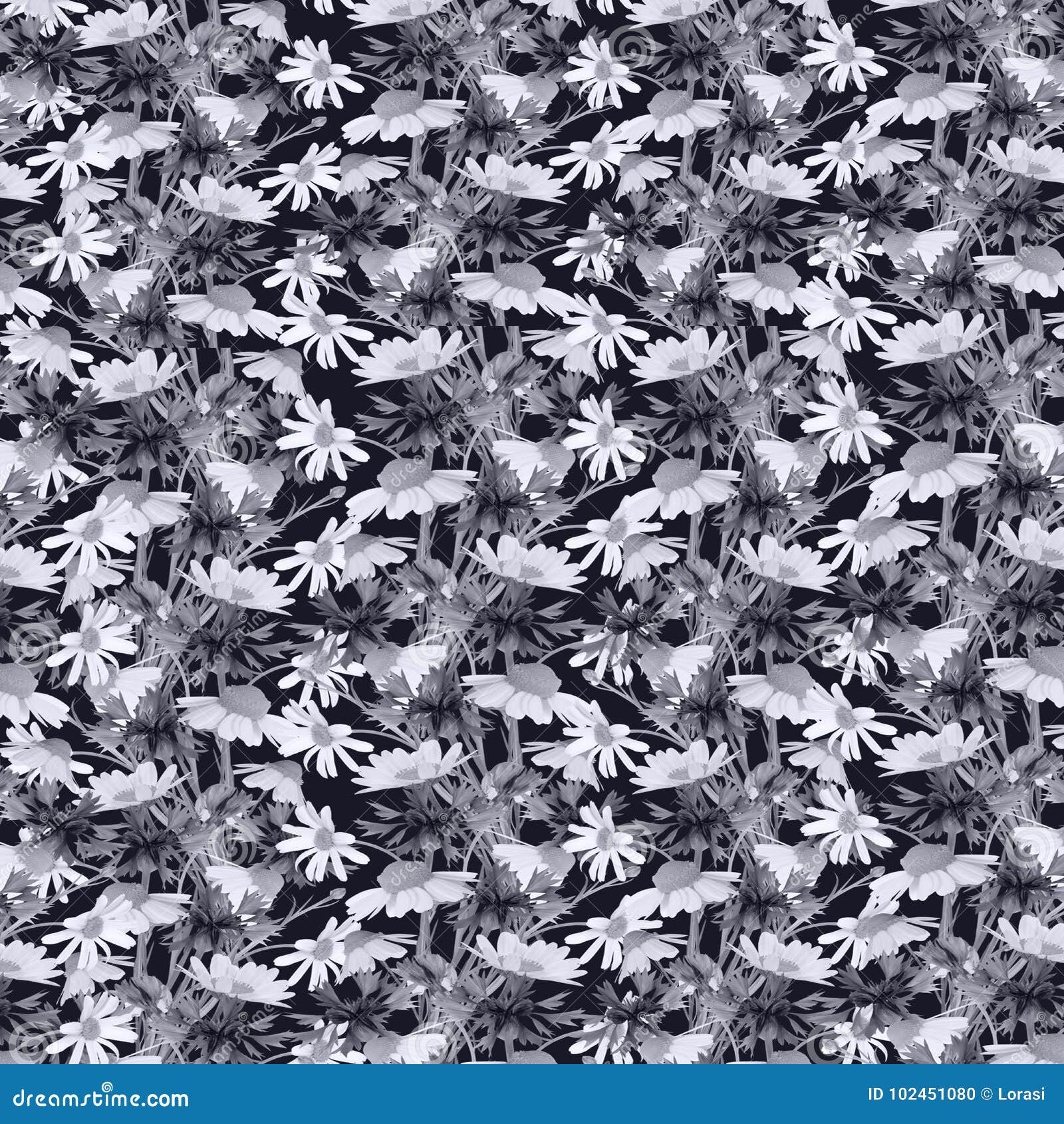 Floral Pattern on a Dark Gray Background. Stock Photo Image of flow