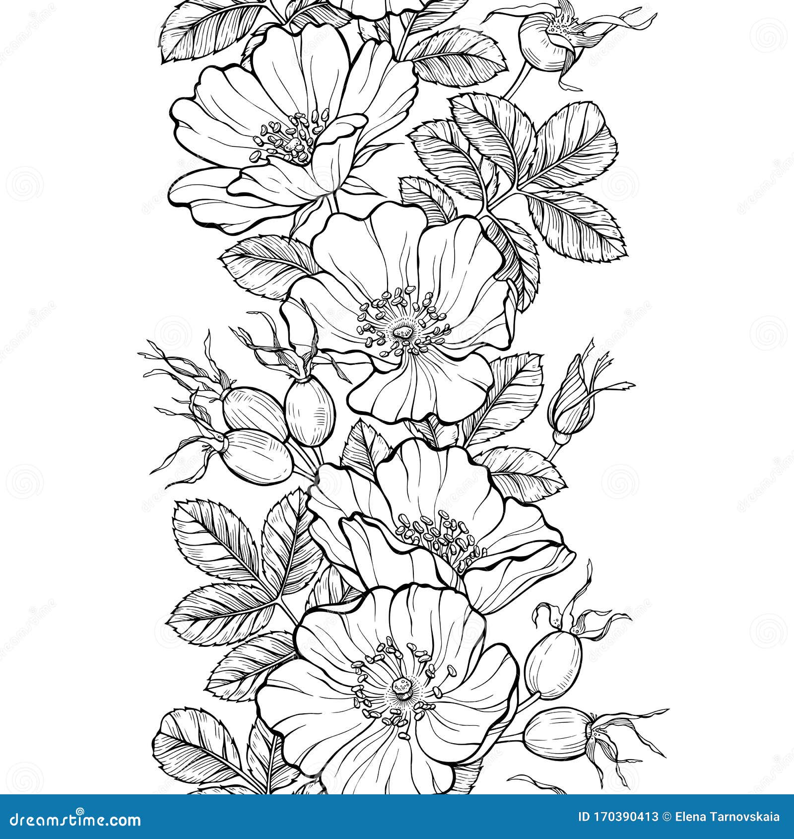 Rose Line Drawing Border Images – Browse 22,547 Stock Photos, Vectors, and  Video | Adobe Stock