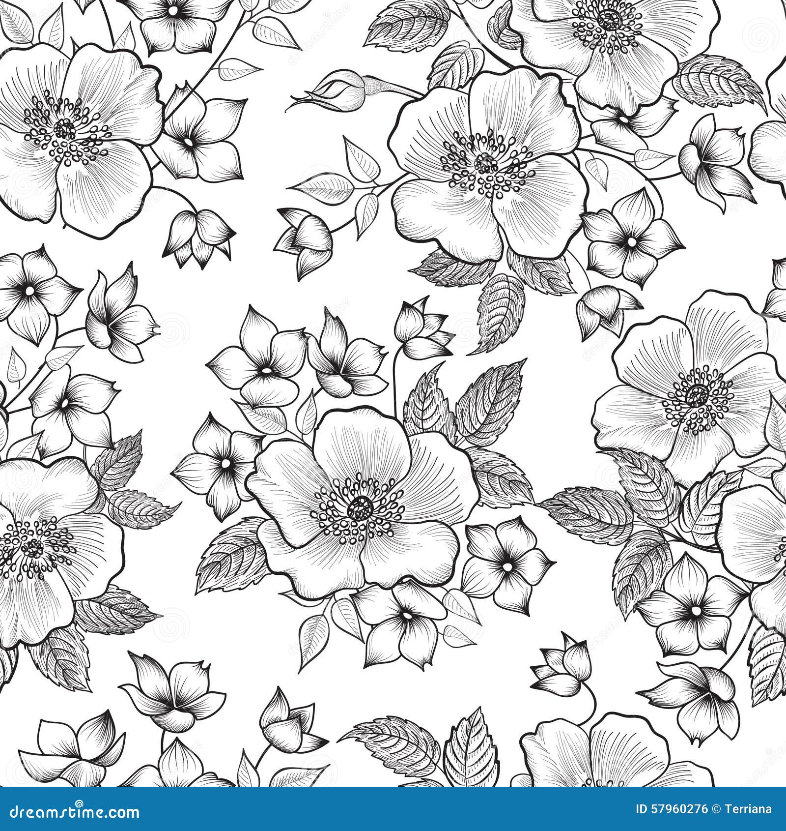 Flower Sketch Vector Art Icons and Graphics for Free Download