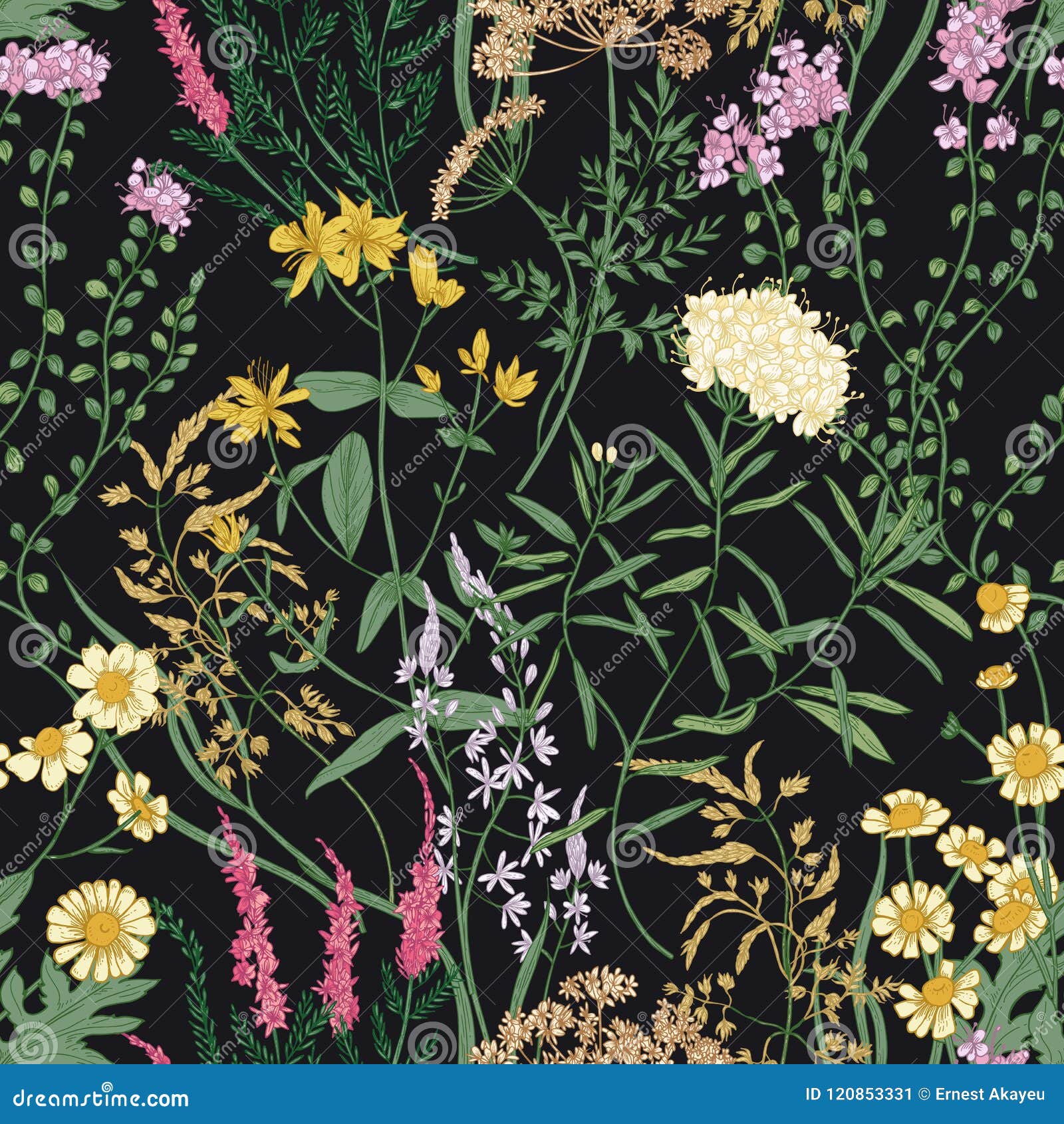 floral seamless pattern with beautiful wild blooming flowers on black background. backdrop with meadow flowering
