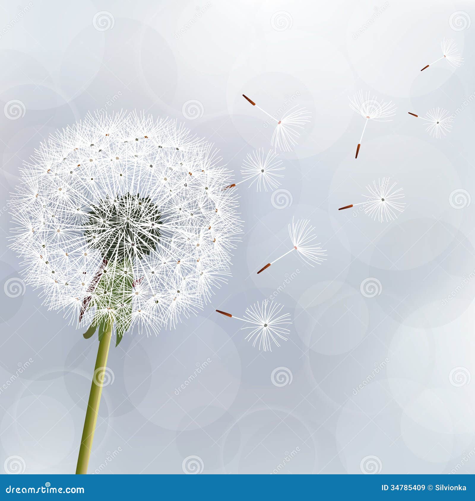 Floral Trendy Background with Flower Dandelion Stock Vector