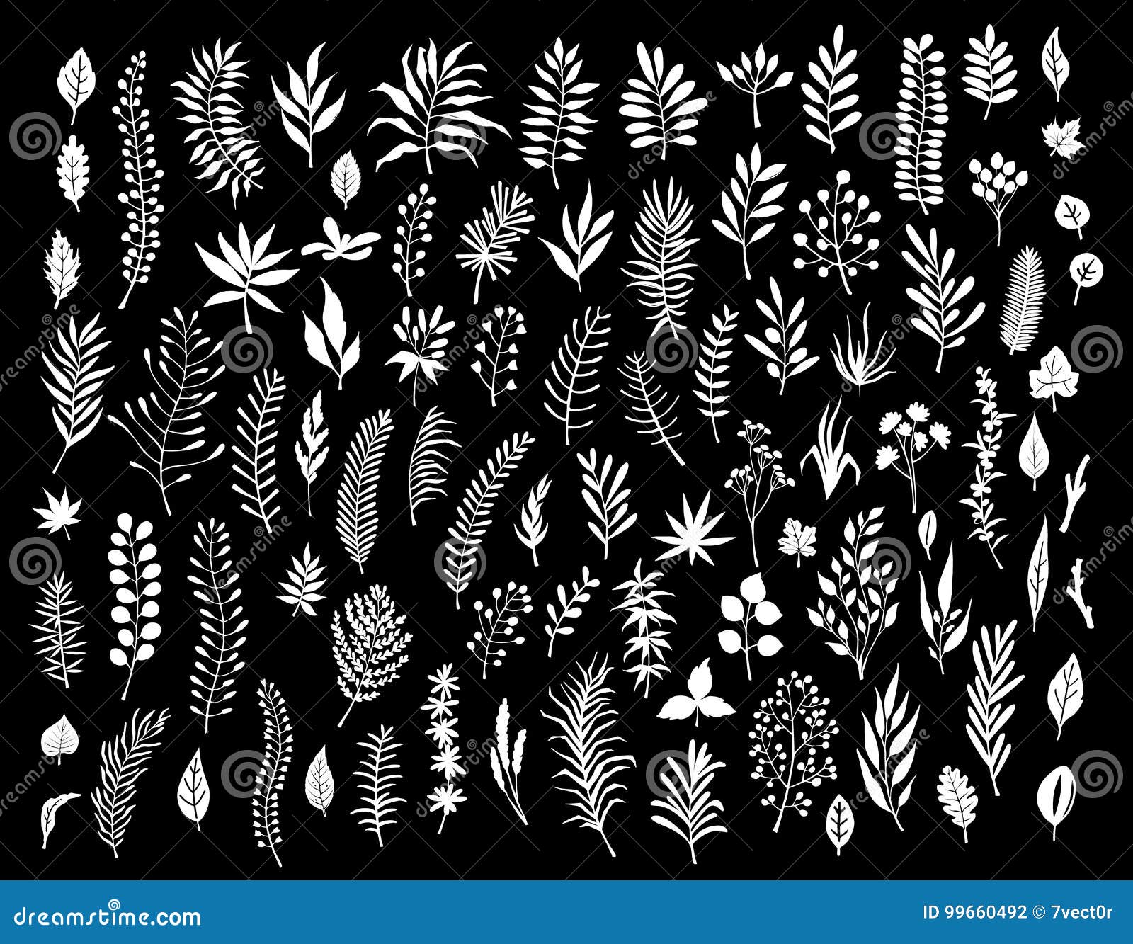 Floral Twigs Branches Collection Stock Vector - Illustration of