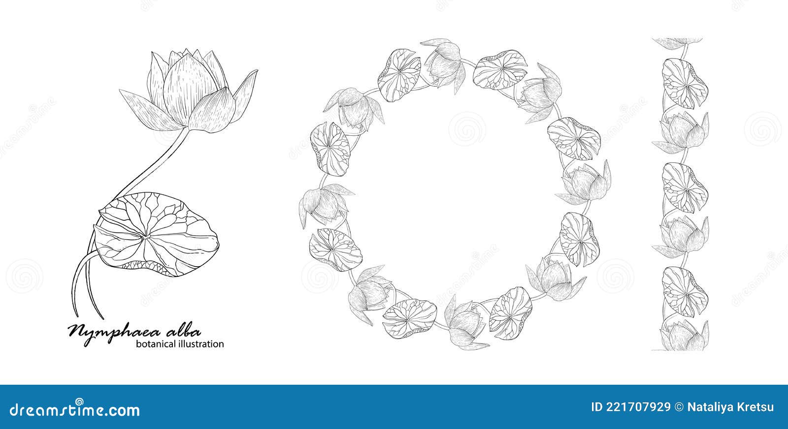 Floral Vector Wreath with Lily Flowers. Graphic Flowers Stock Vector