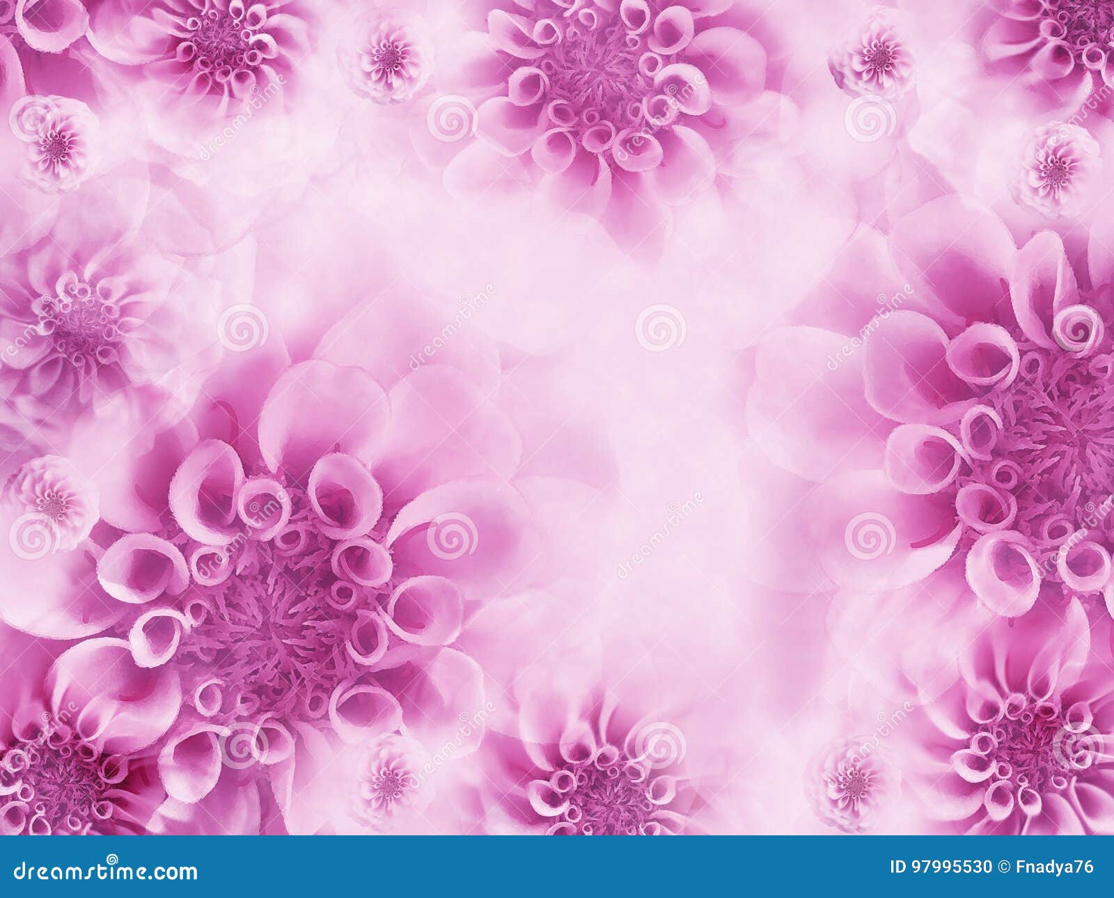 Floral White-pink Beautiful Background. Wallpapers of Light Pink Flowers  Stock Photo - Image of color, garden: 97995530