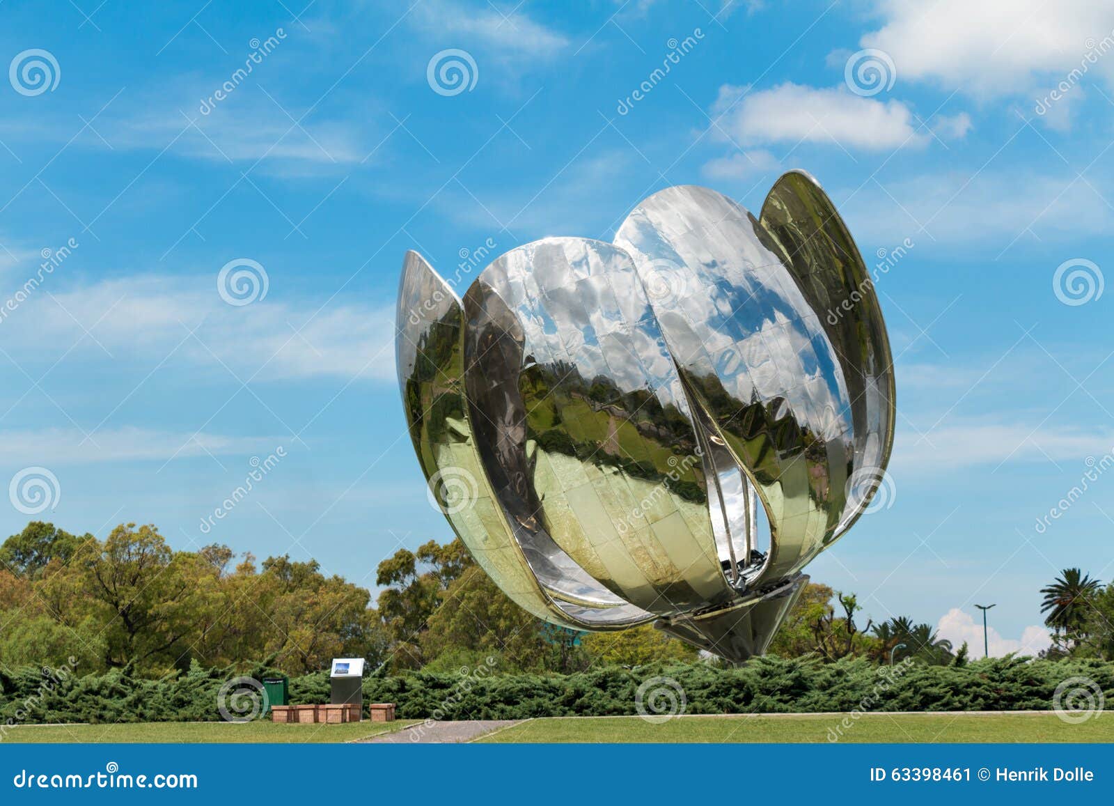 floralis generica, buenos aires argentinien