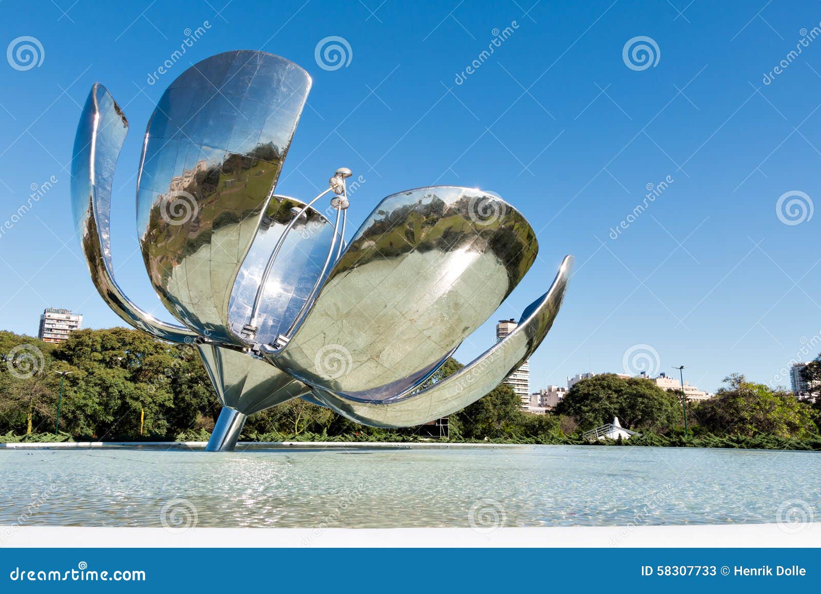 floralis generica, buenos aires argentinien