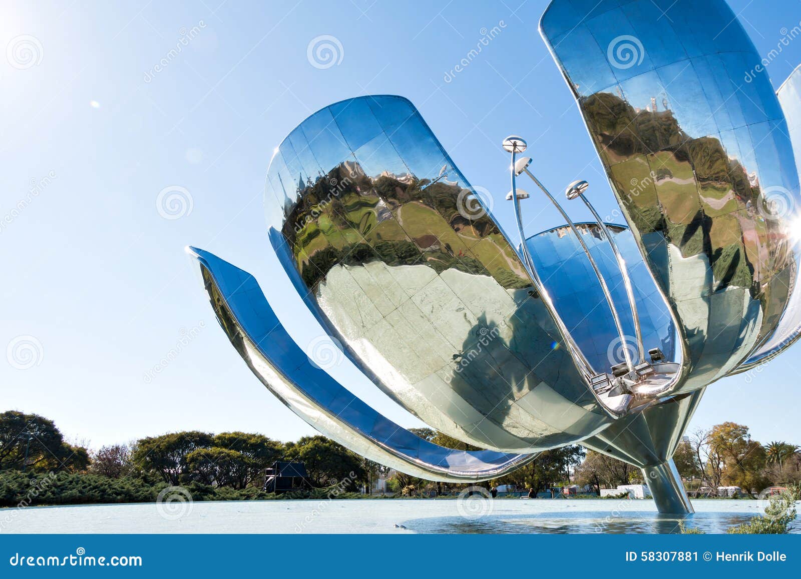 floralis generica, buenos aires argentinien