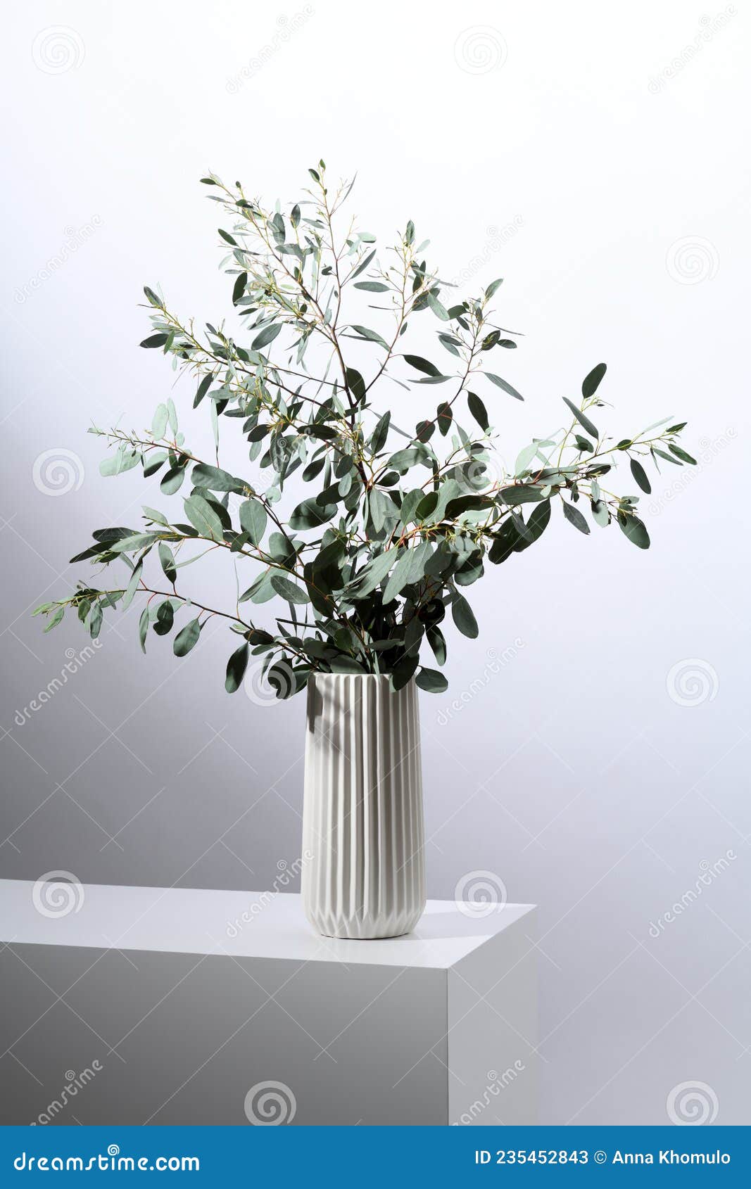 Florero Con Hojas De Eucalipto Imagen de archivo Imagen de follaje