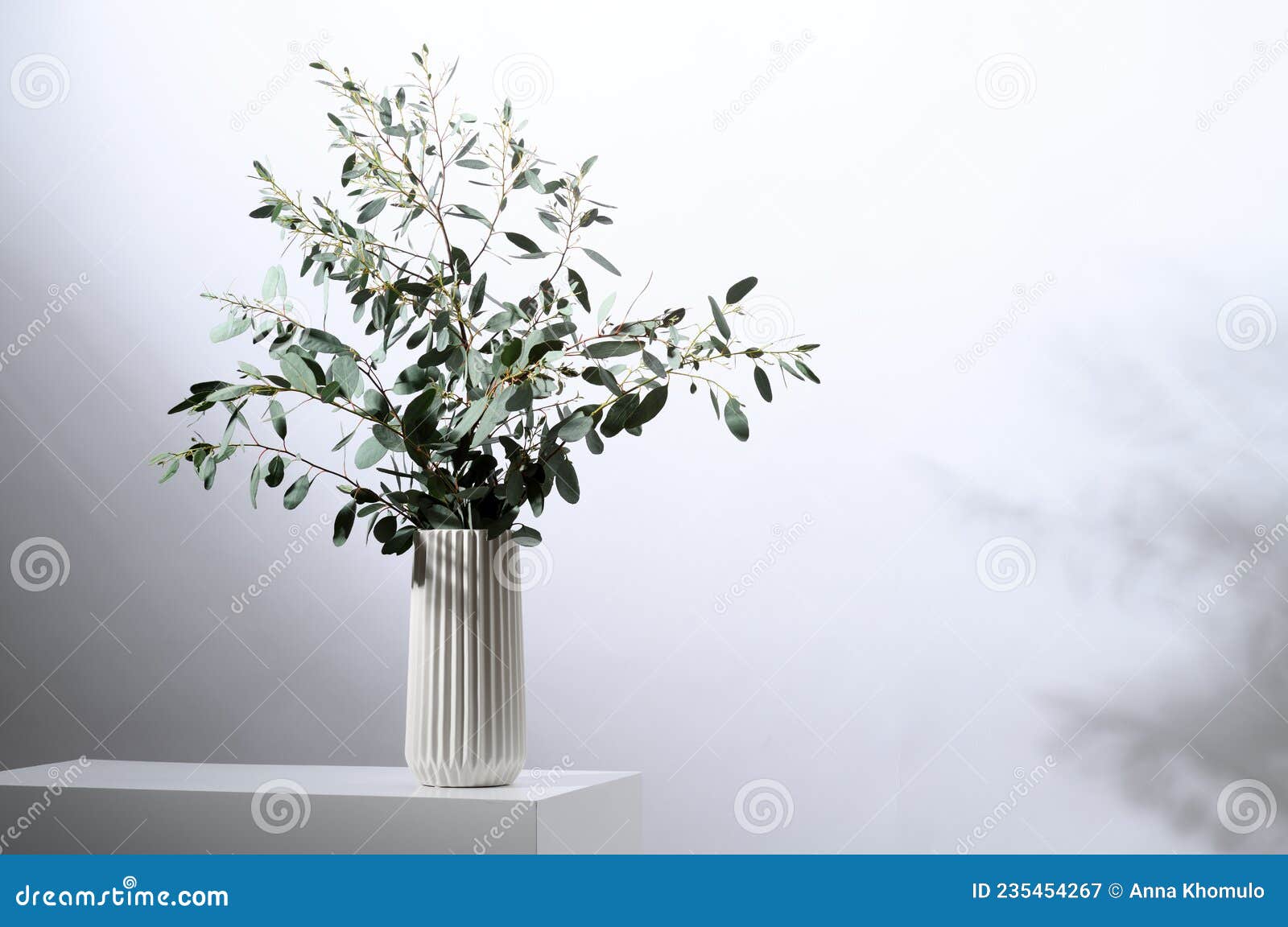 Florero Con Hojas De Eucalipto Imagen de archivo Imagen de verde