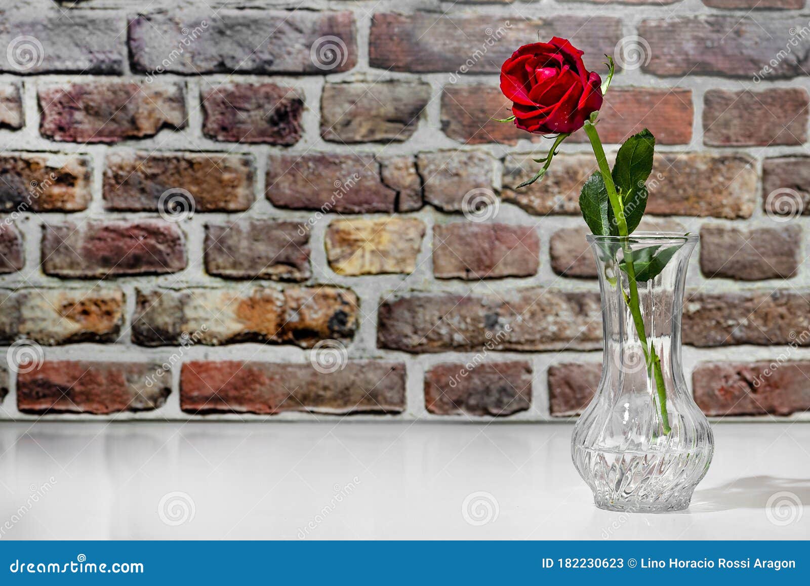 florero con rosa roja sobre mesa blanca con pared de ladrillos rojos