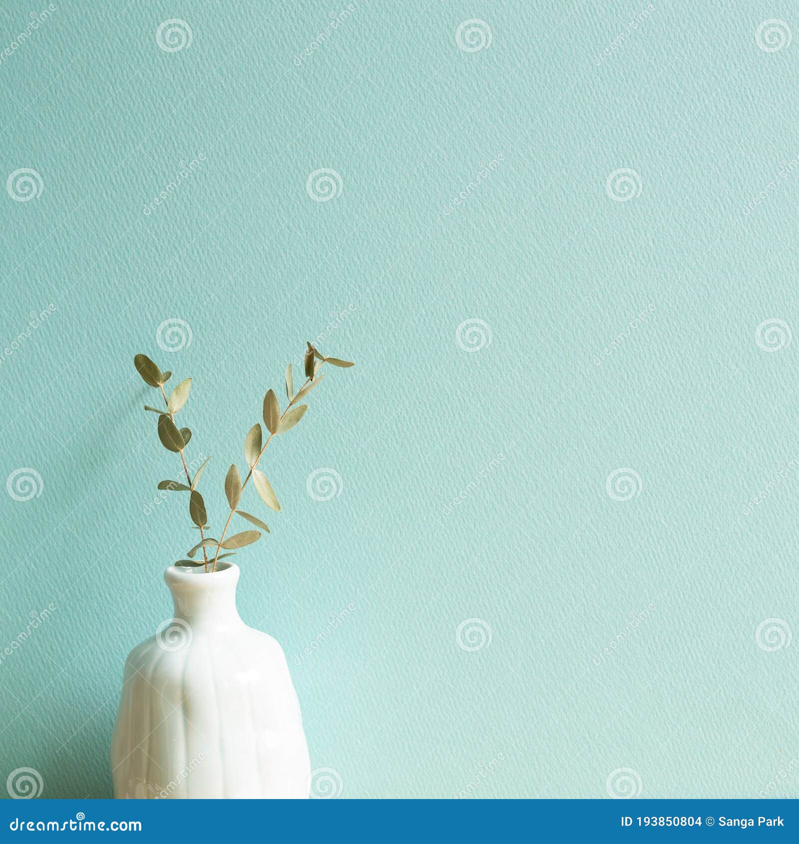 Florero De Hojas De Eucalipto Foto de archivo Imagen de casero