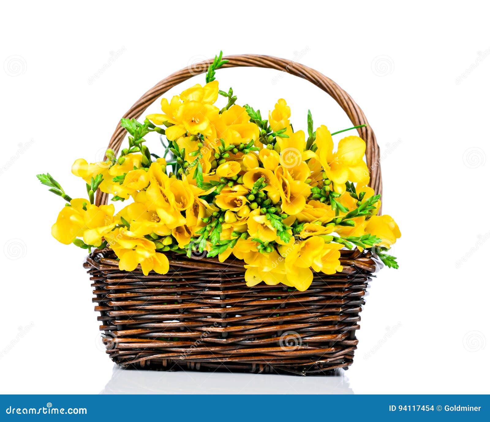 Flores Amarelas Da Frésia Na Cesta Foto de Stock - Imagem de delicado,  fundo: 94117454