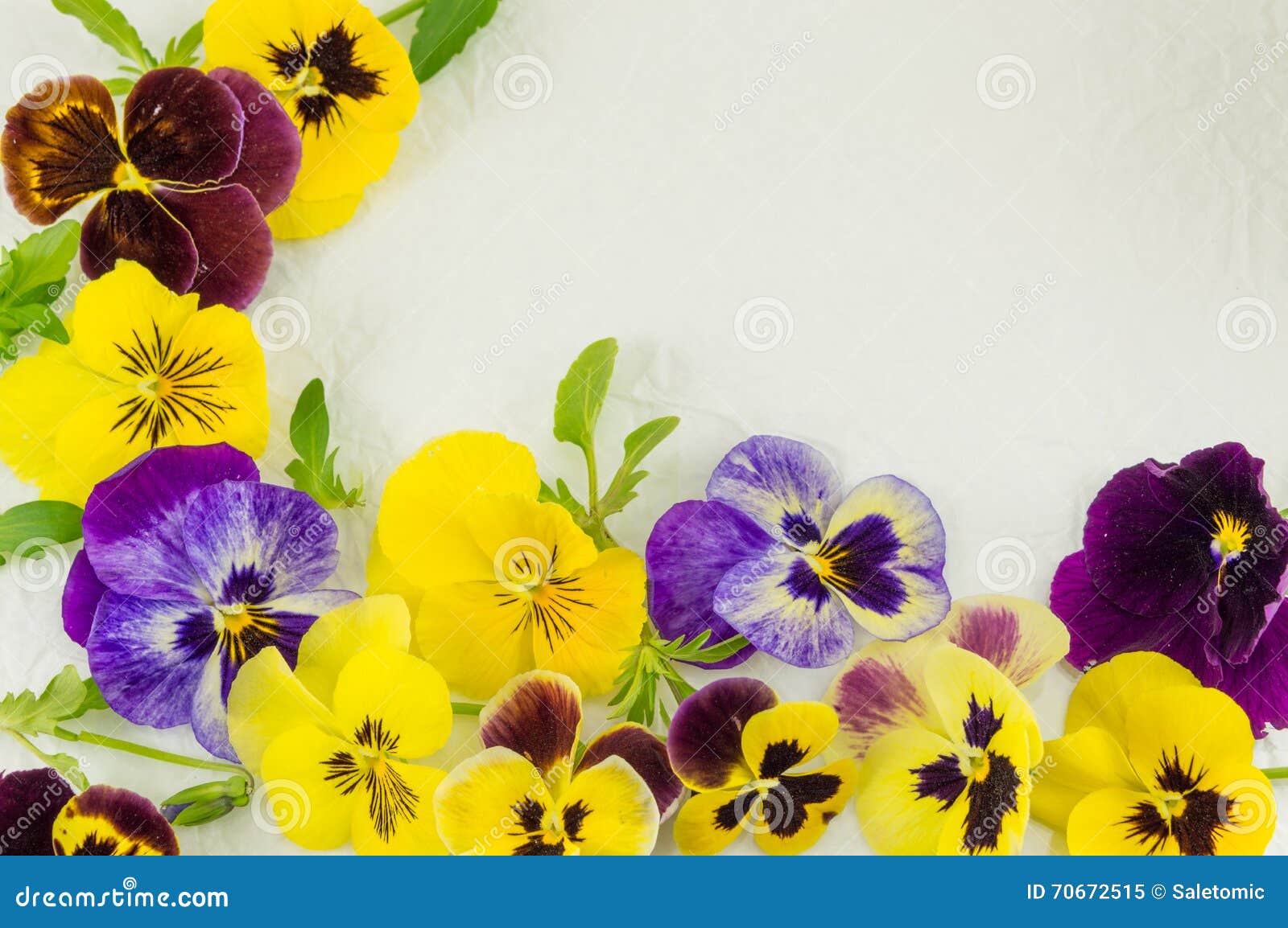 Flores Amarillas Y Violetas Imagen de archivo - Imagen de azul, decorativo:  70672515