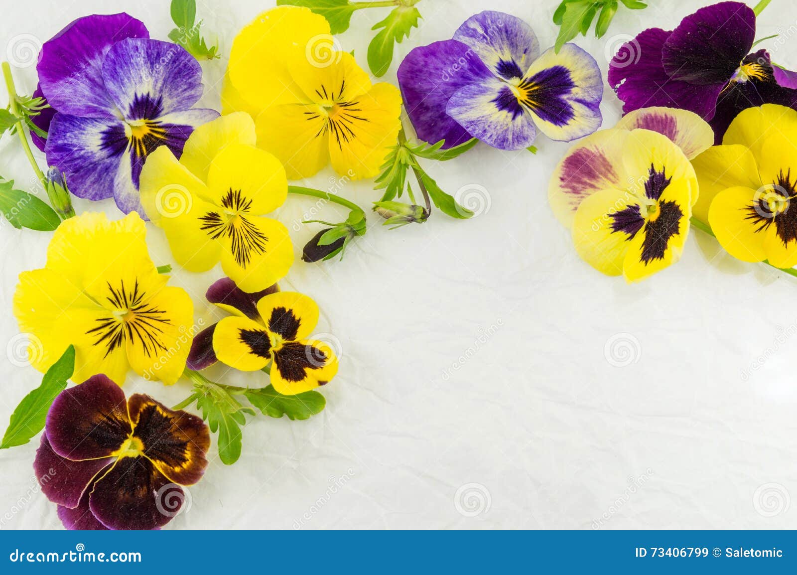 Flores Amarillas Y Violetas Imagen de archivo - Imagen de violeta,  decorativo: 73406799