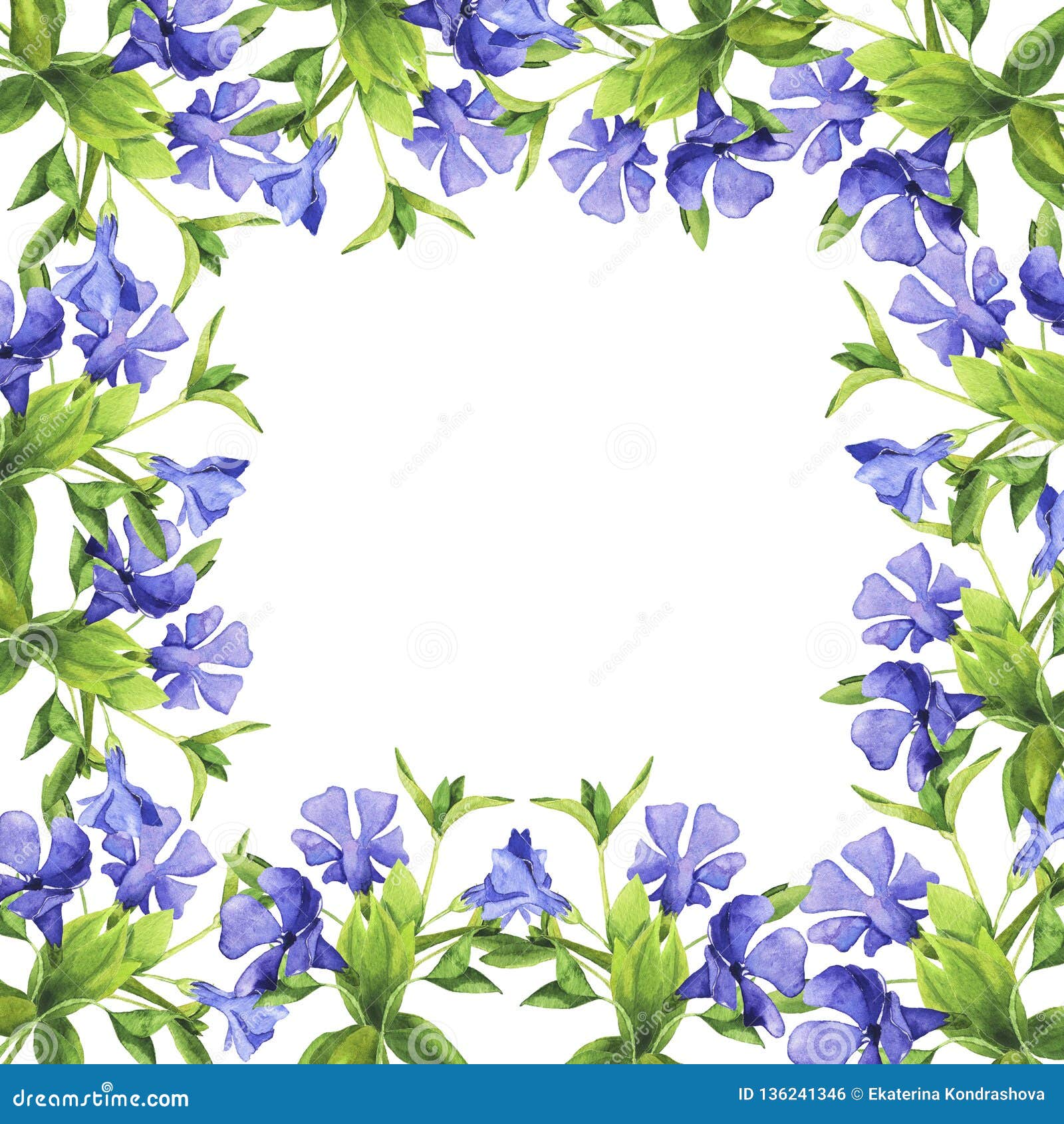 Flores Azules Y Hojas Verdes Borde Decorativo Ilustración De Color De Agua  Foto de archivo - Imagen de fresco, acuarela: 136241346