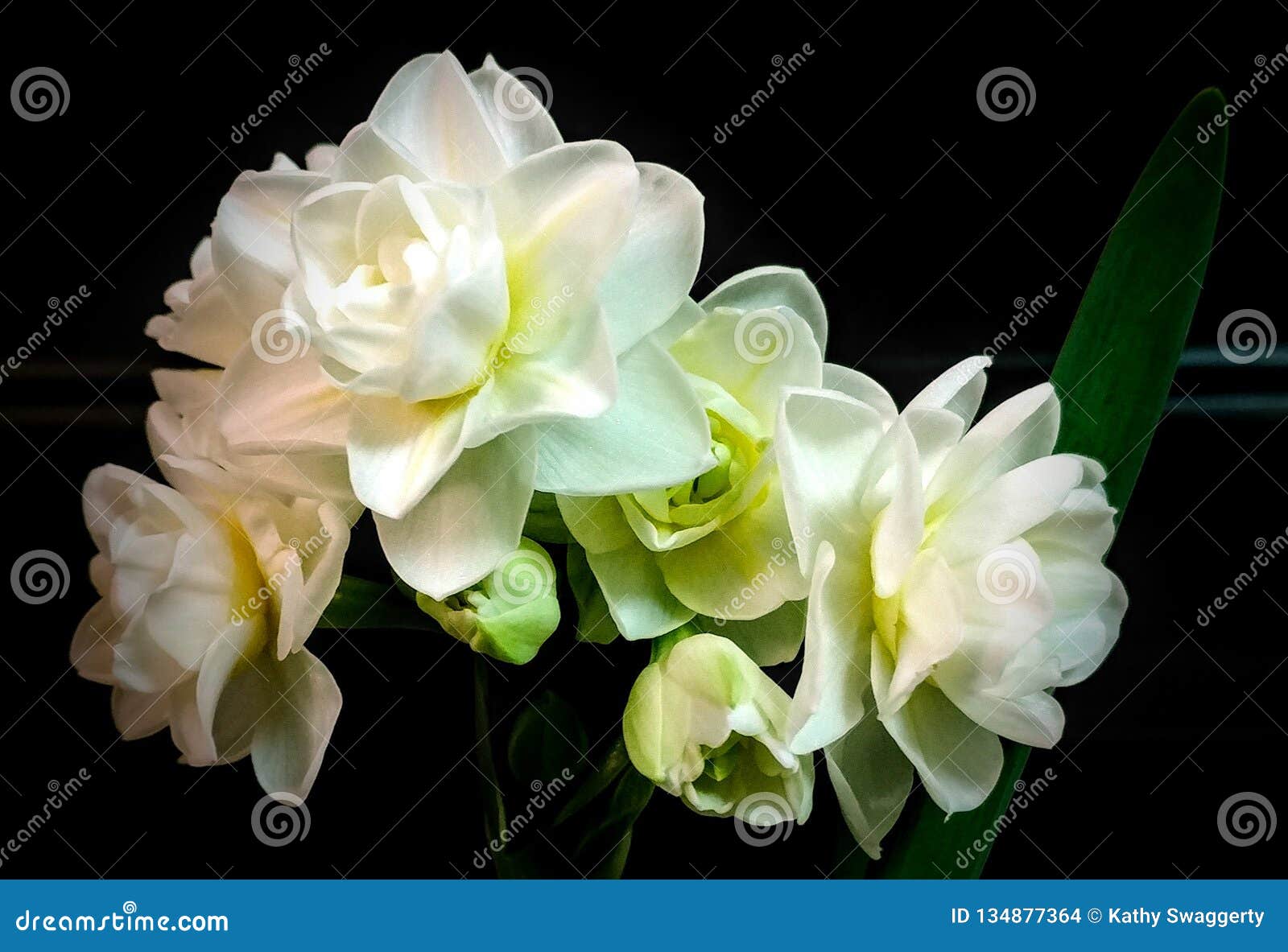 Flores Blancas De Papel En Fondo Negro Foto de archivo - Imagen de placer,  however: 134877364