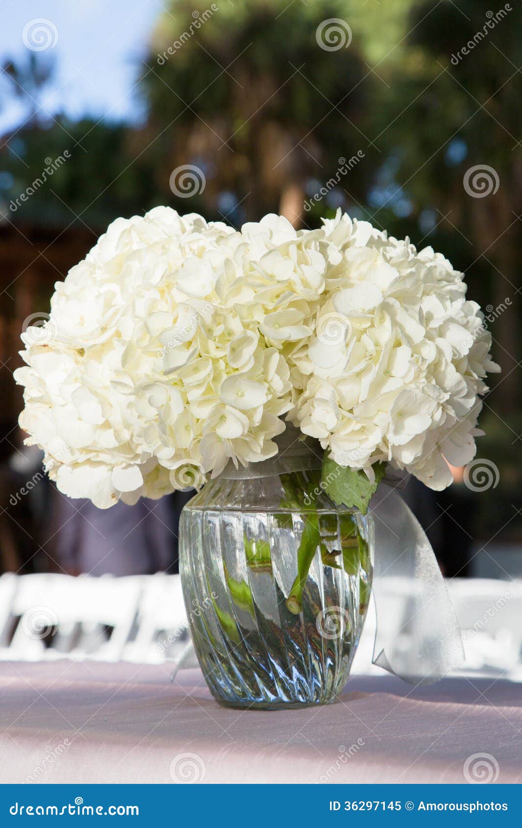 Flores Blancas En El Florero De Cristal Imagen de archivo - Imagen de blanco,  flores: 36297145