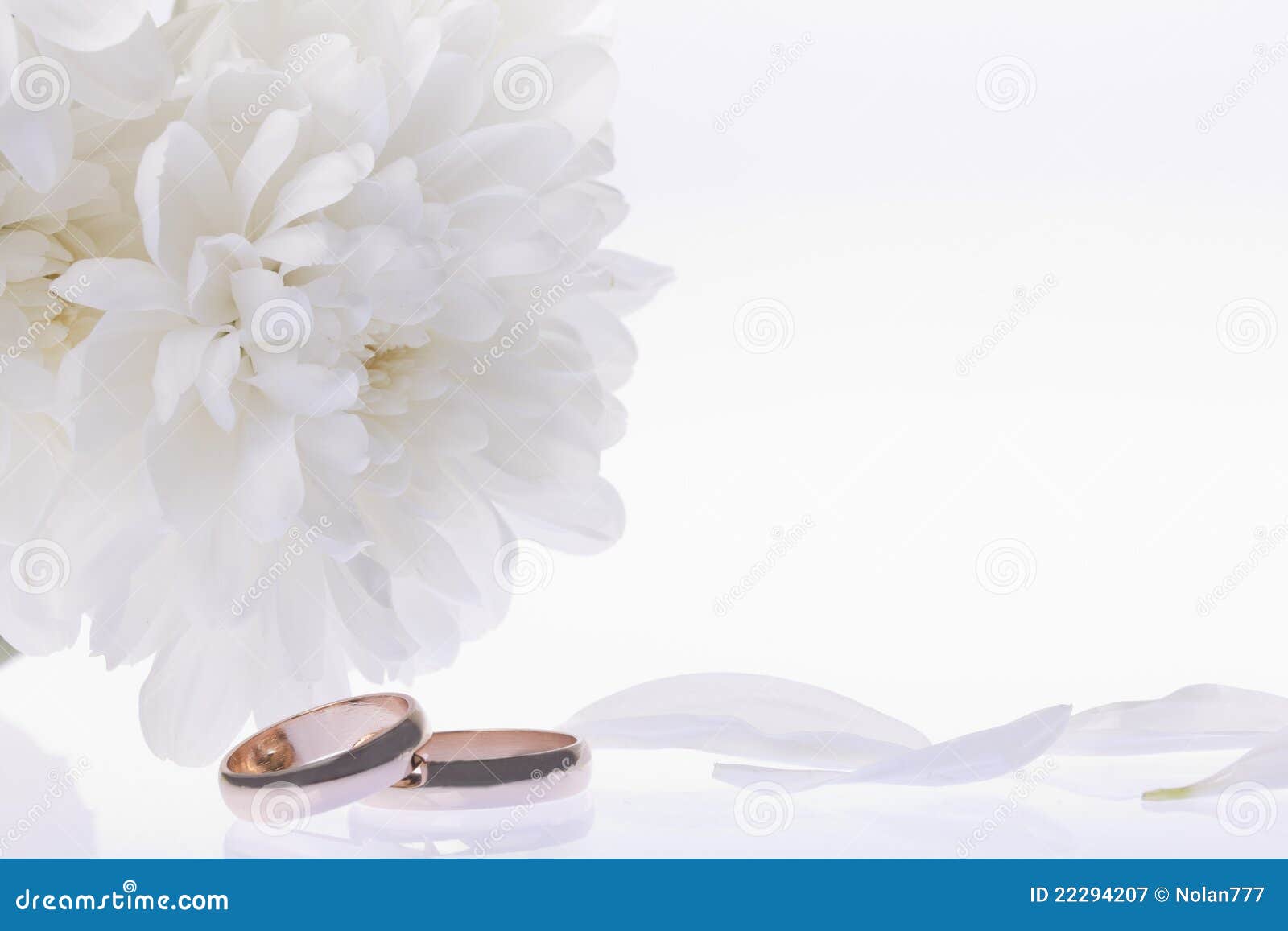 Flores Blancas Y Anillos De Bodas Imagen de archivo - Imagen de imagen,  brillante: 22294207