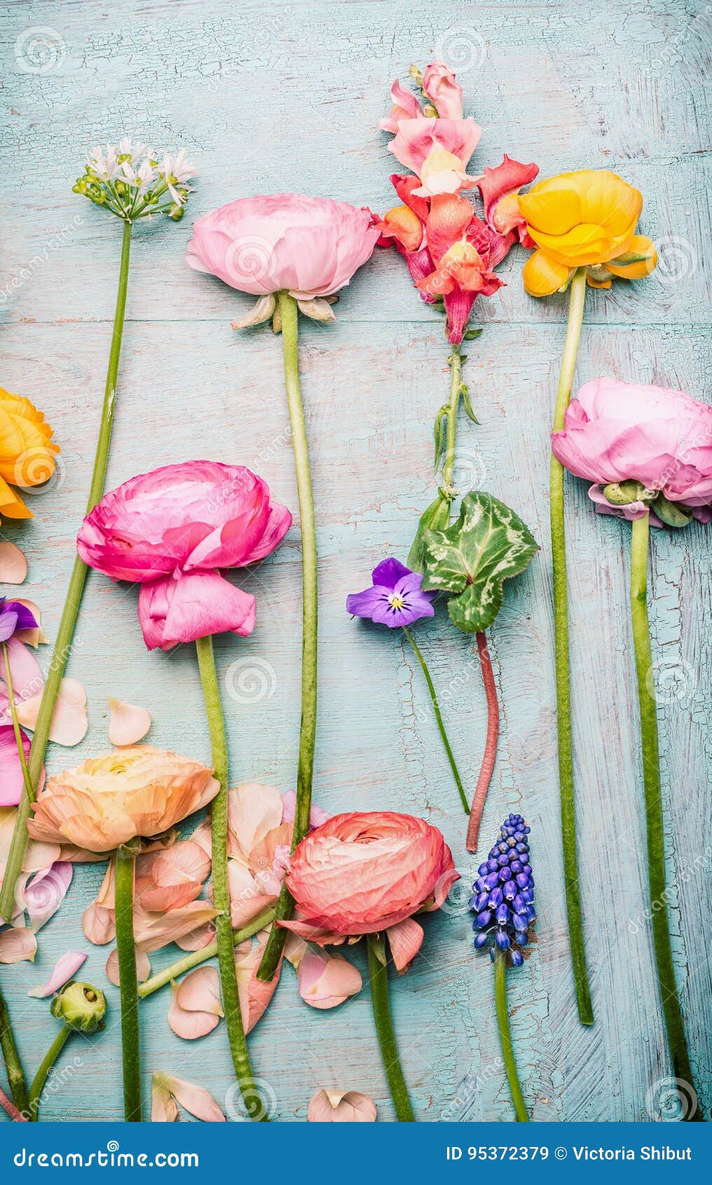 Flores Bonitas En Fondo Elegante Lamentable Imagen de archivo - Imagen de  hermoso, cubo: 95372379